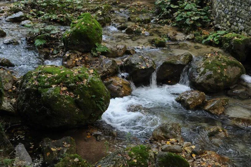 Bed in Dimora Storica Hotel Maccarunera