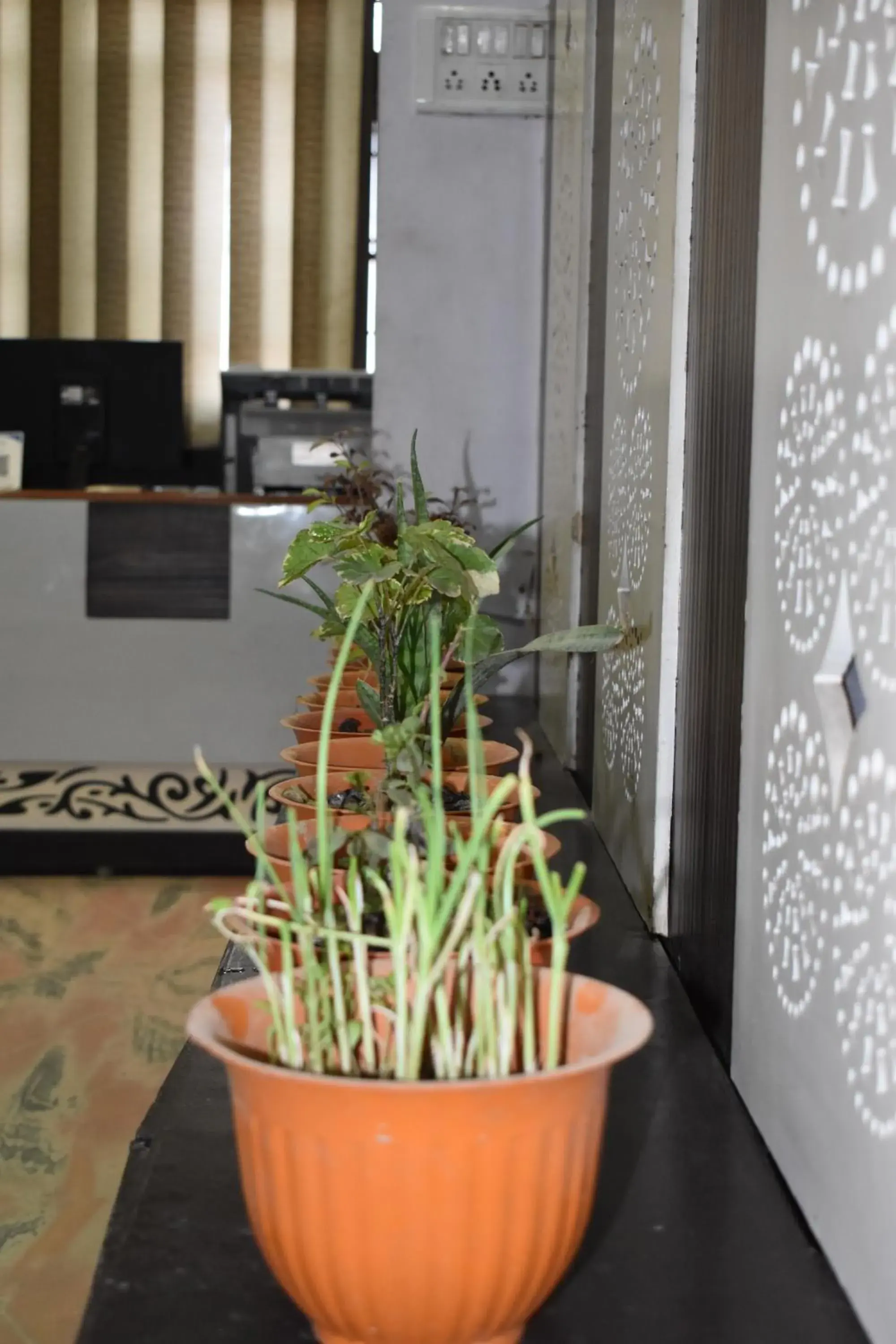 Lobby or reception in Hotel Mrk Lobby or reception in Hotel Mrk