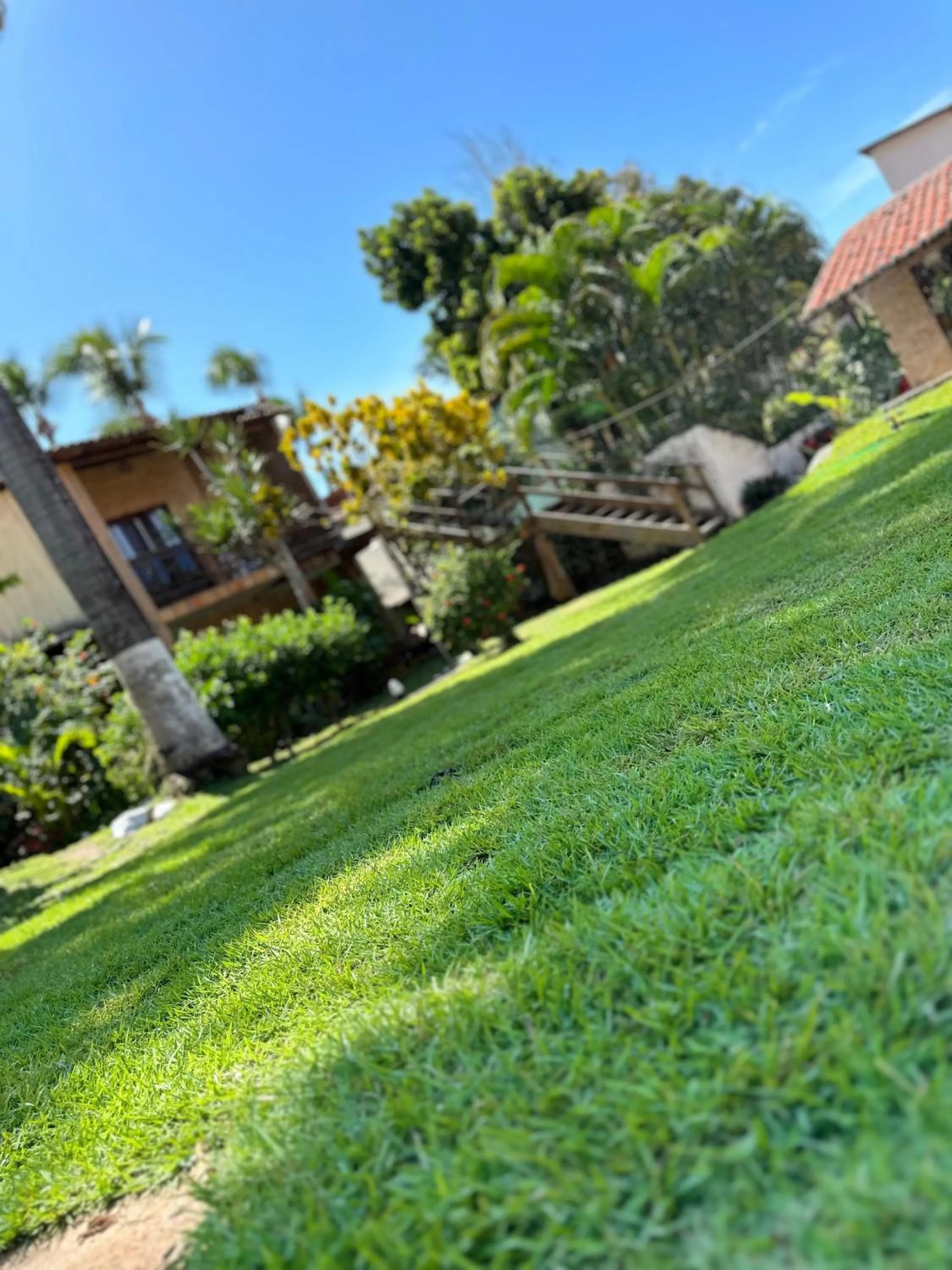 Garden in Pousada Praia da Pipa