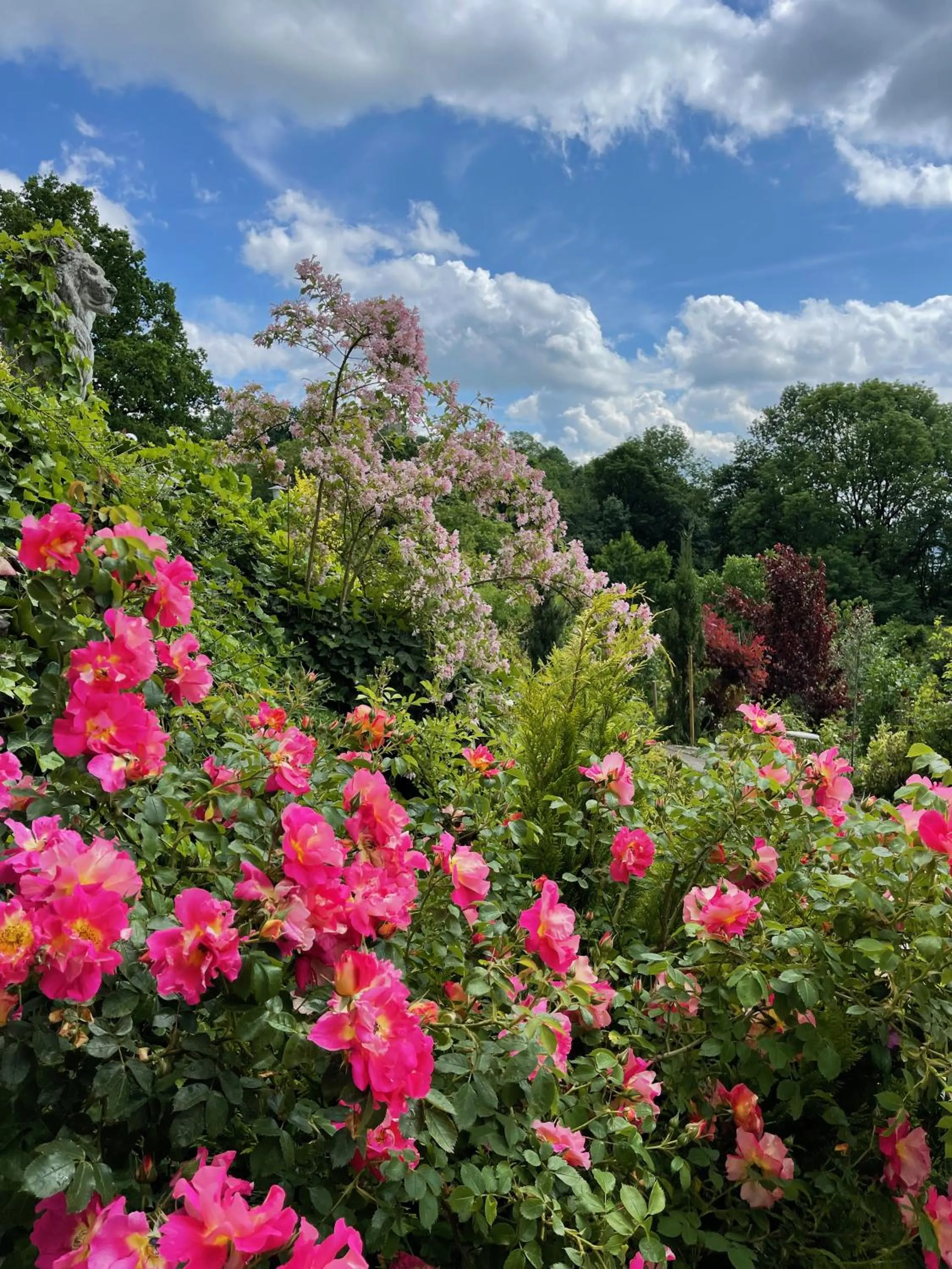 Natural landscape in Villa Schaumburg - Boutique Hotel