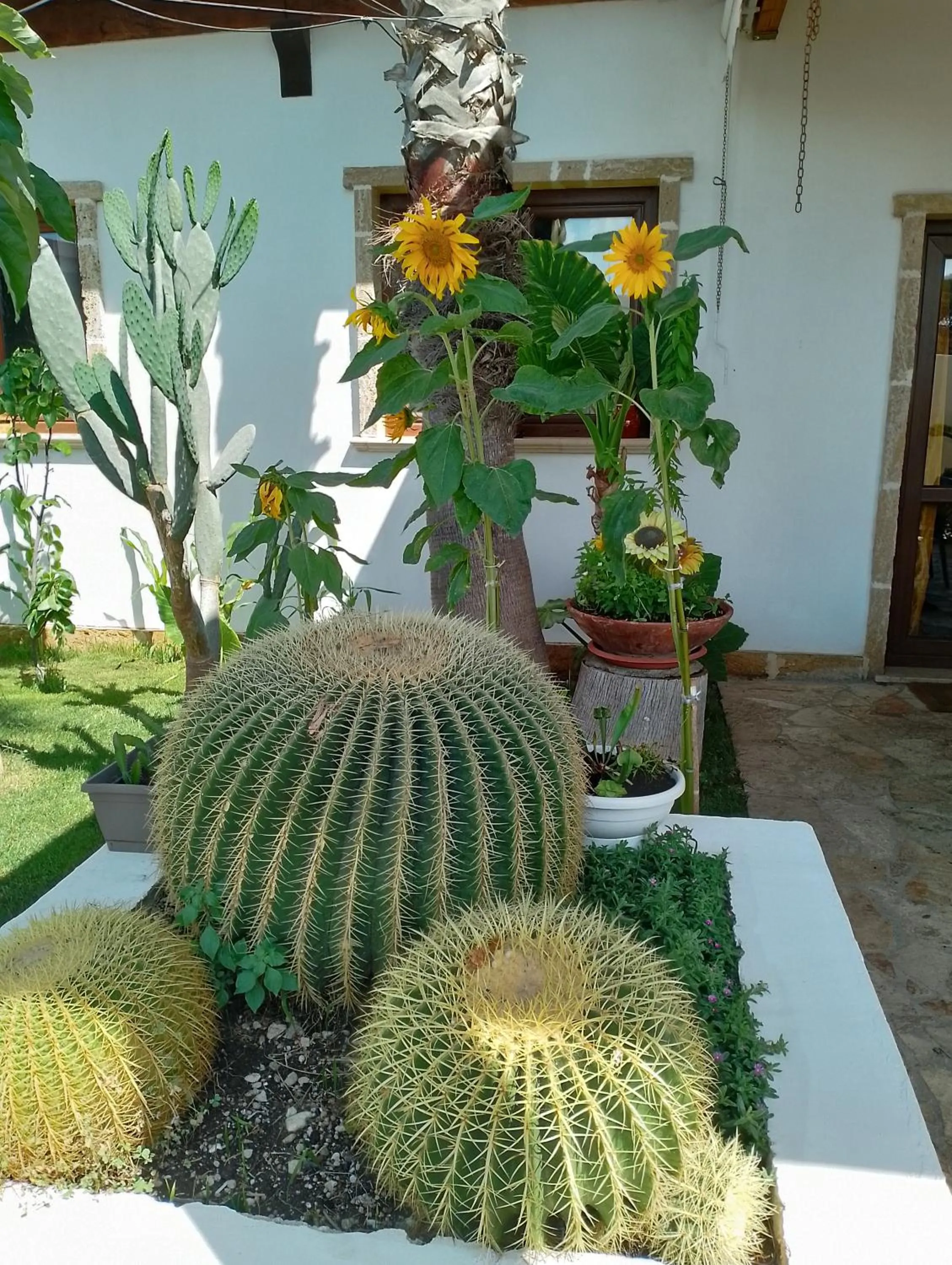 Garden in Villa Raggio di Sole parcheggio privato