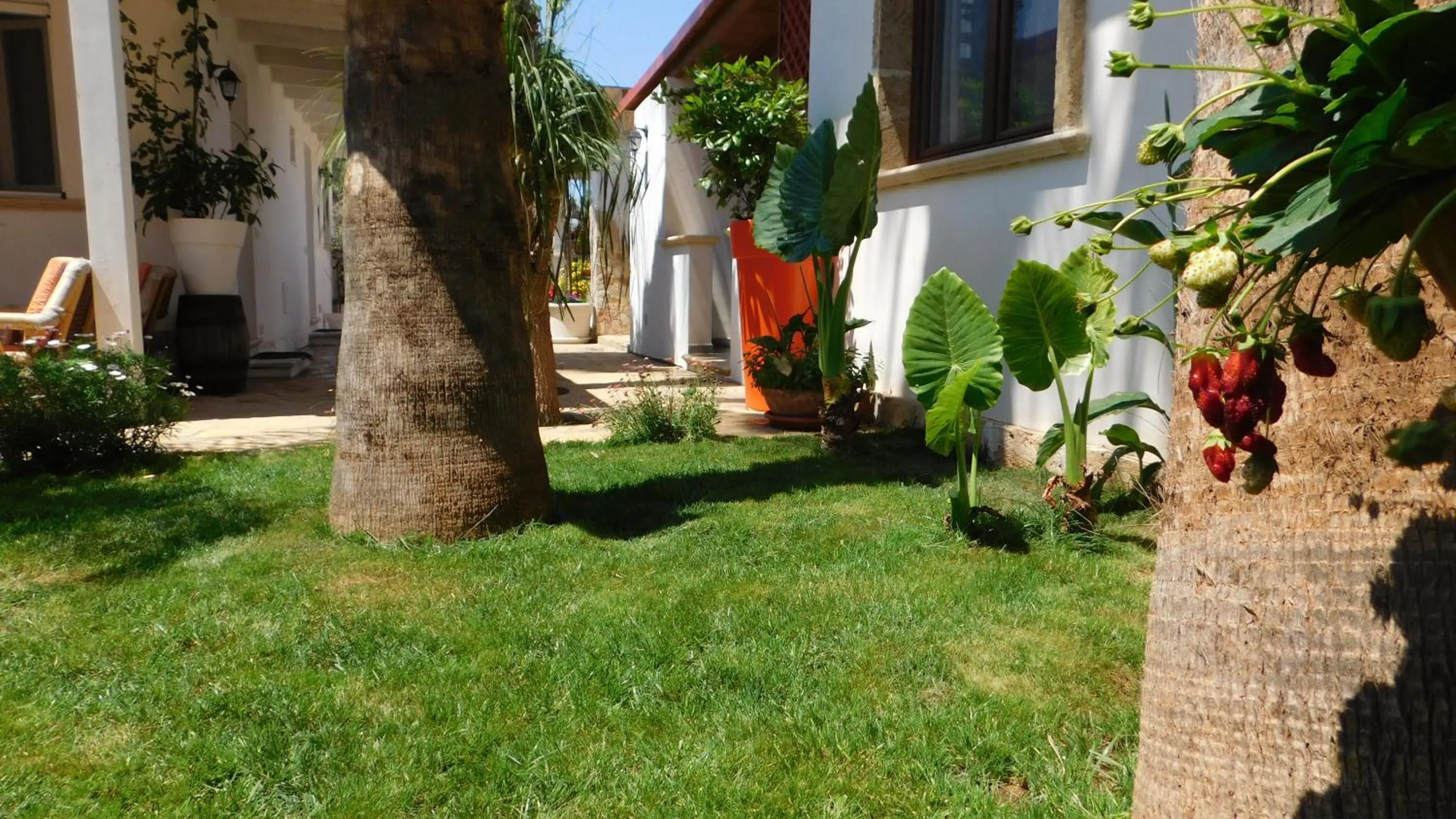 Garden in Villa Raggio di Sole parcheggio privato