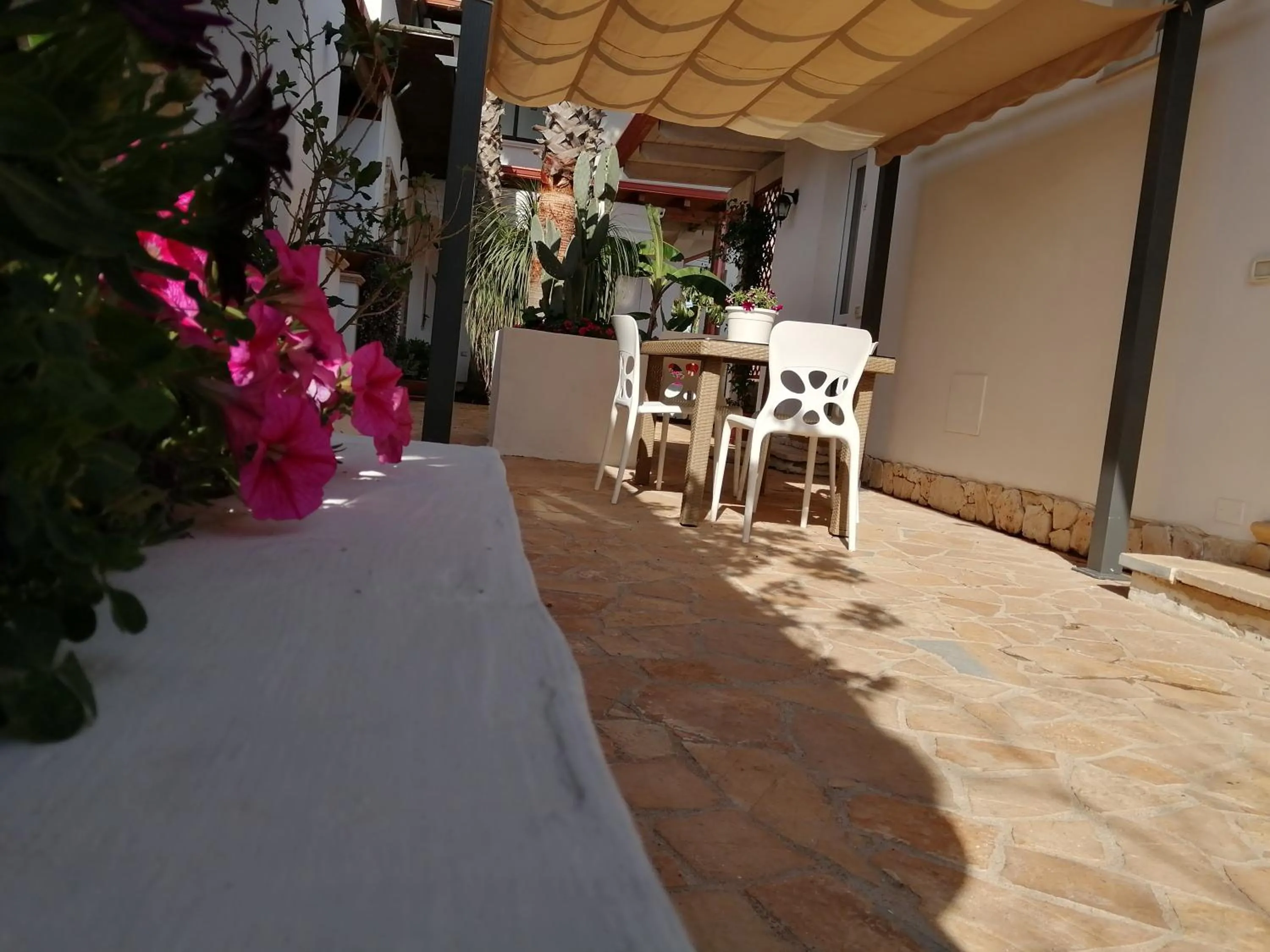 Garden in Villa Raggio di Sole parcheggio privato