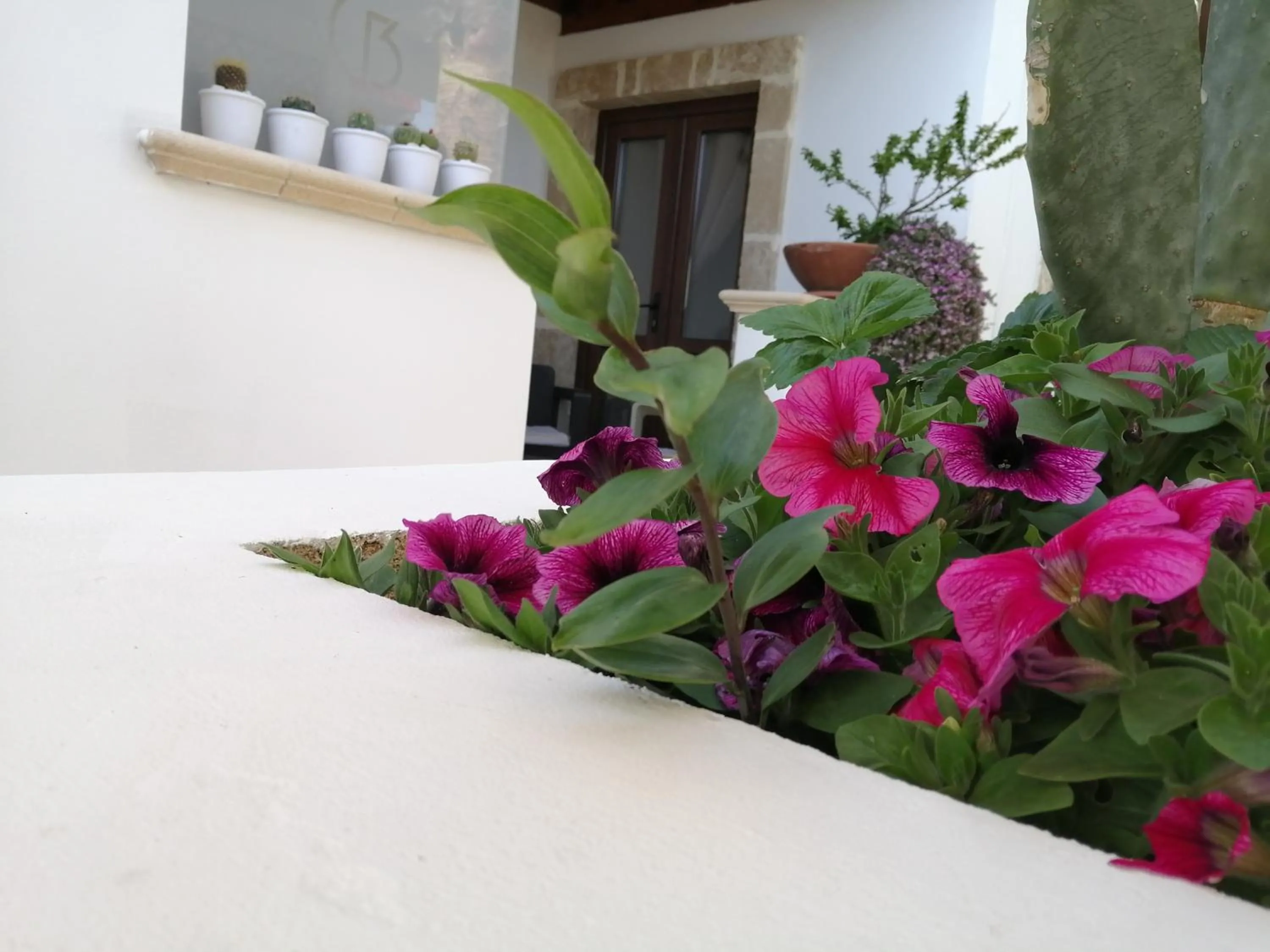 Garden in Villa Raggio di Sole parcheggio privato