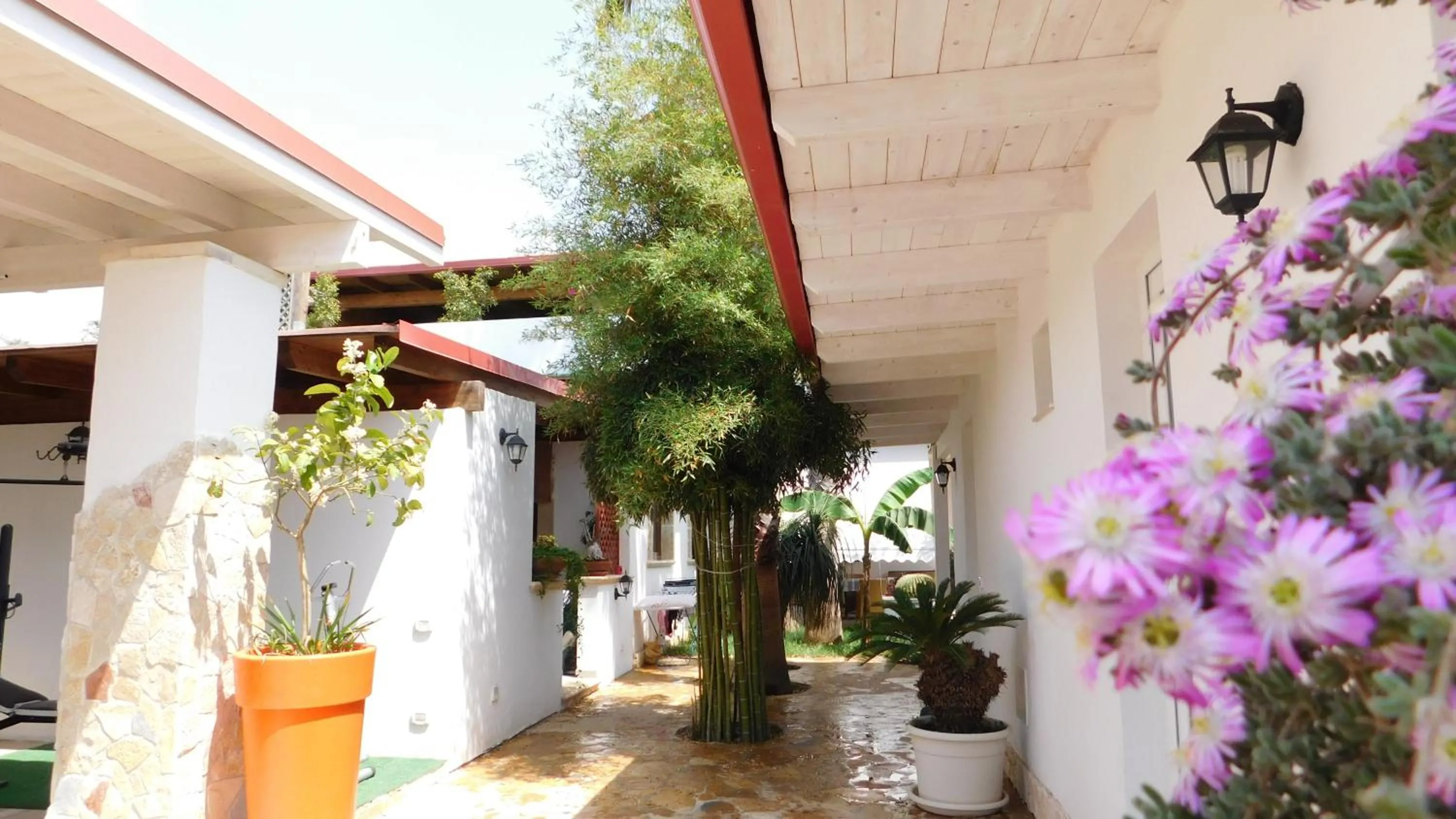 Garden in Villa Raggio di Sole parcheggio privato