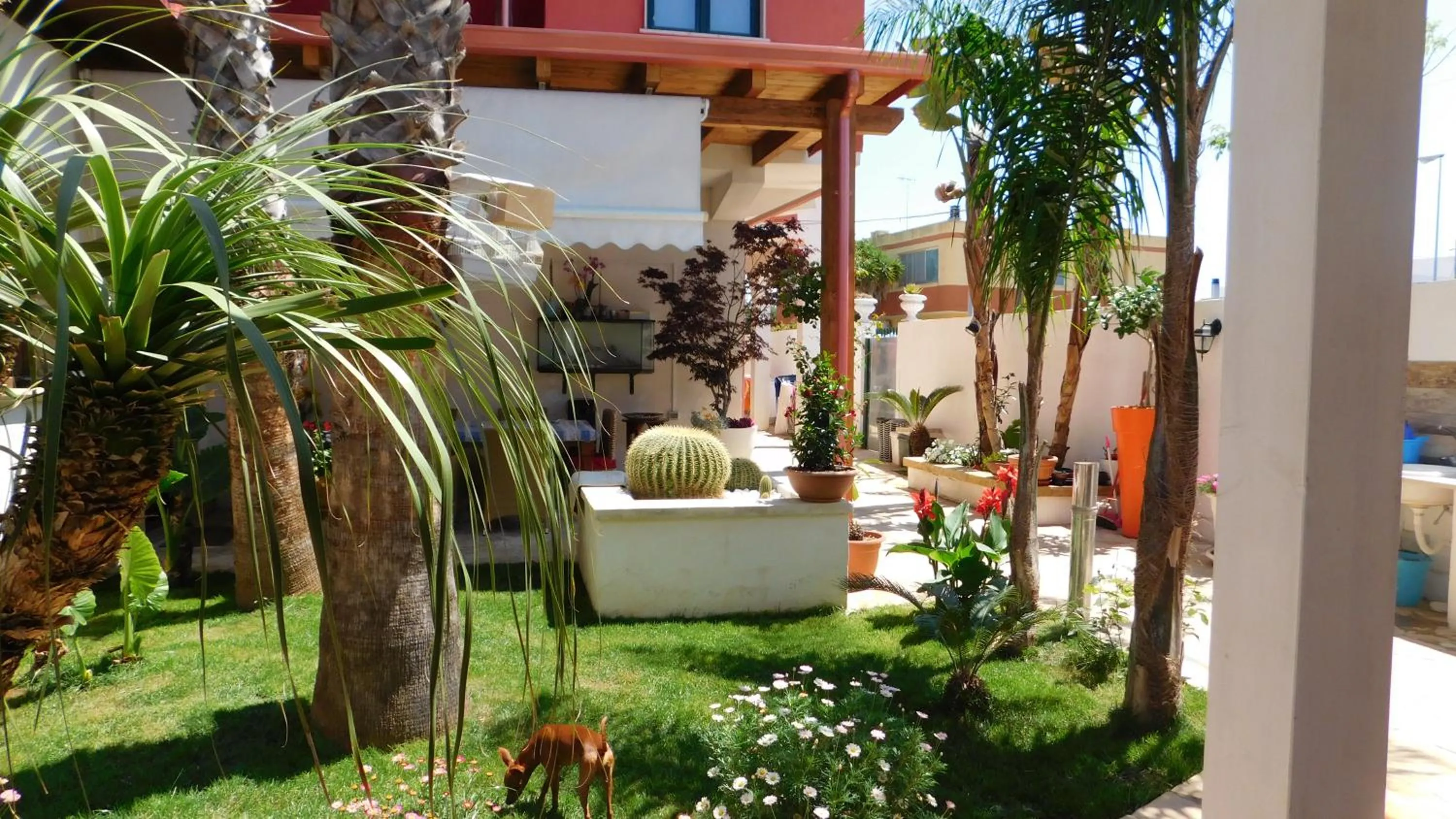 Garden in Villa Raggio di Sole parcheggio privato