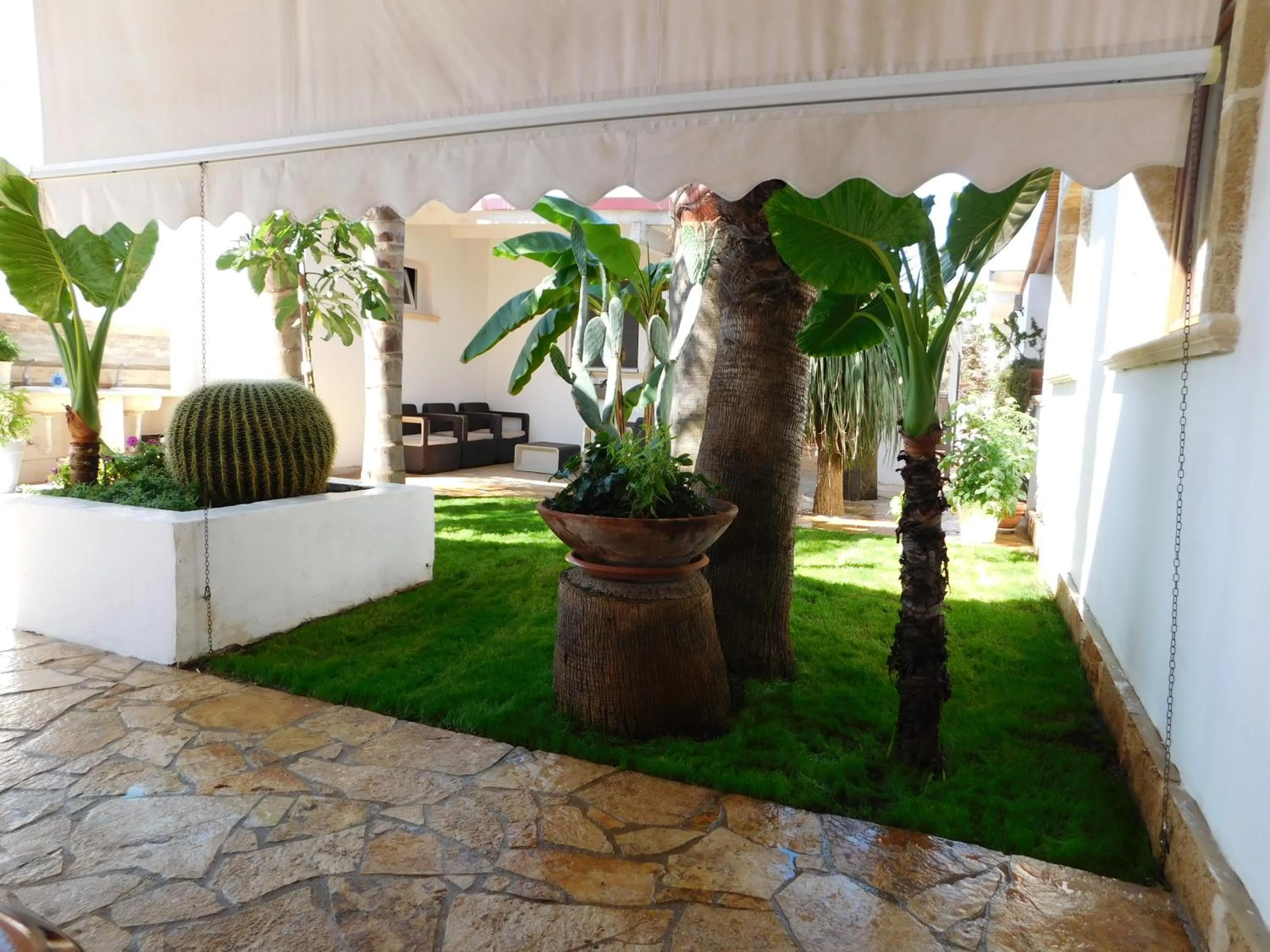 Garden in Villa Raggio di Sole parcheggio privato