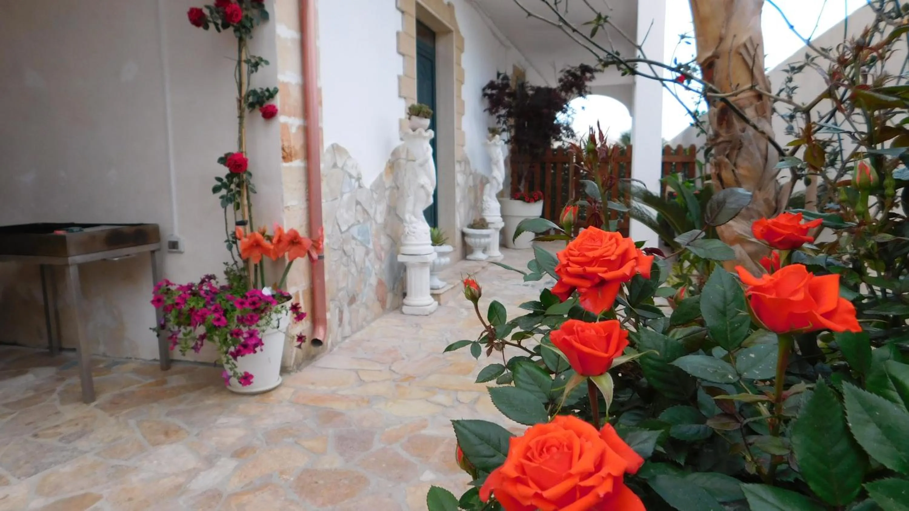 Garden in Villa Raggio di Sole parcheggio privato