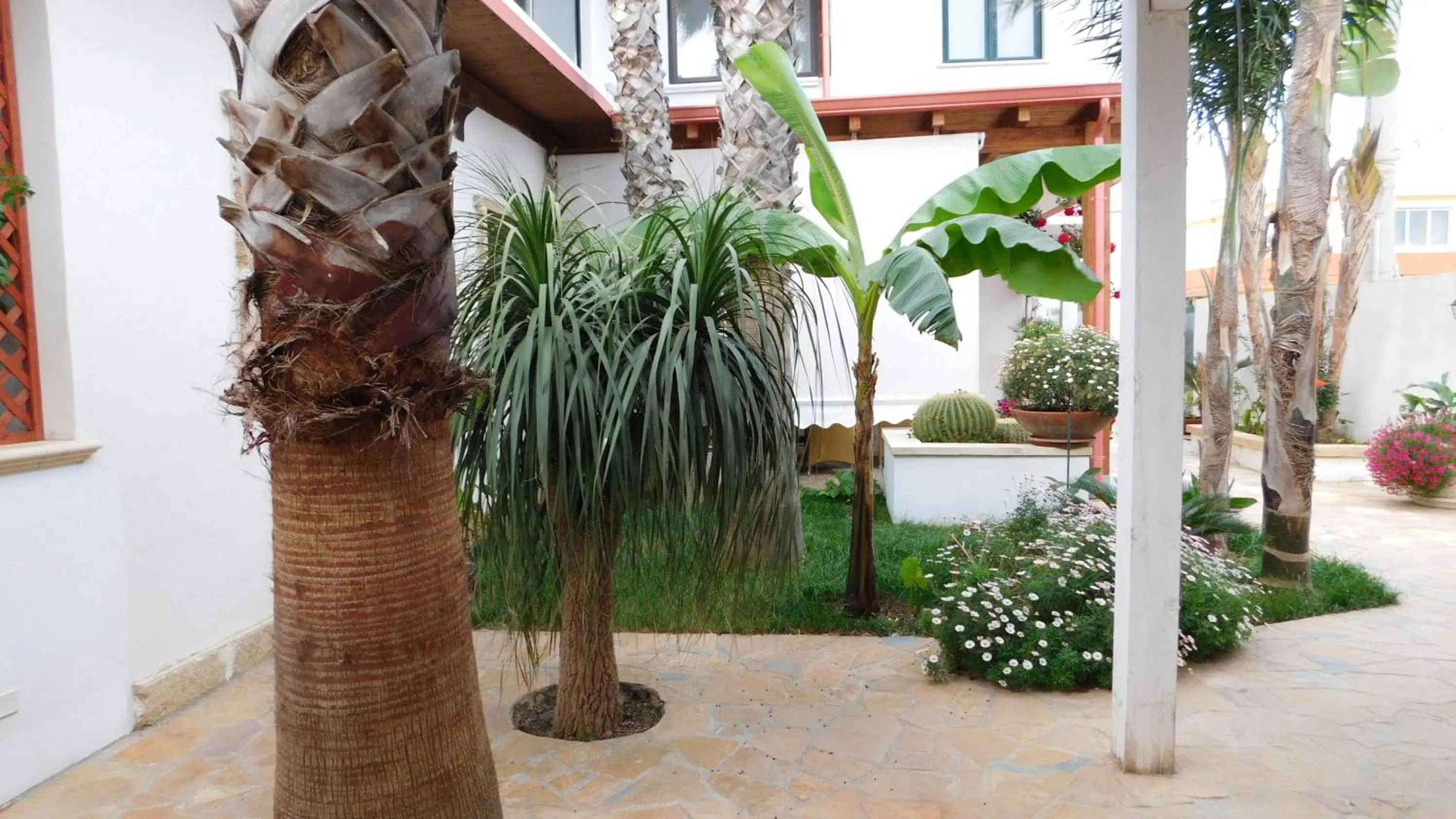 Garden in Villa Raggio di Sole parcheggio privato