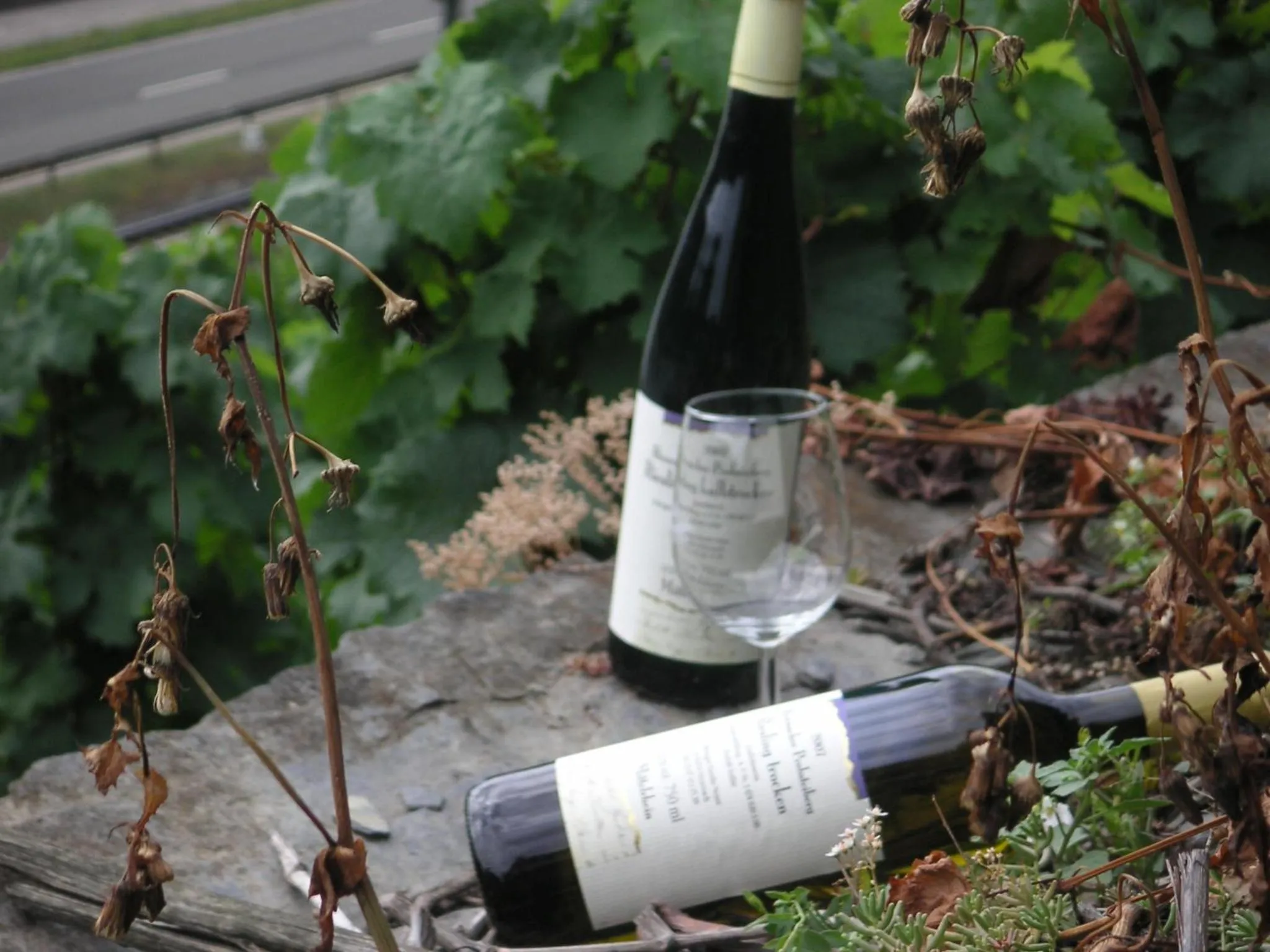 Gasthaus Zum Rebstock