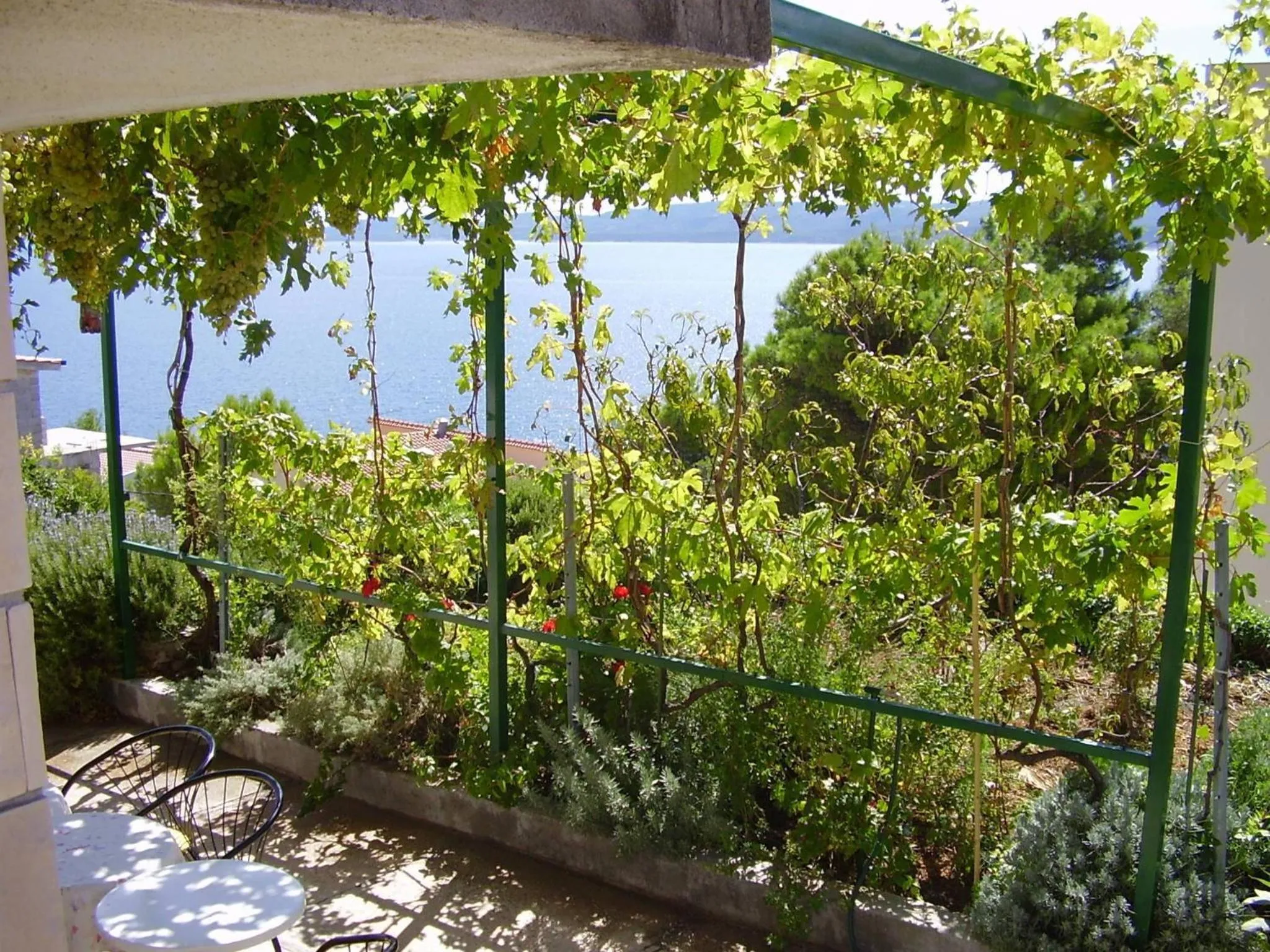 Petar Apartment