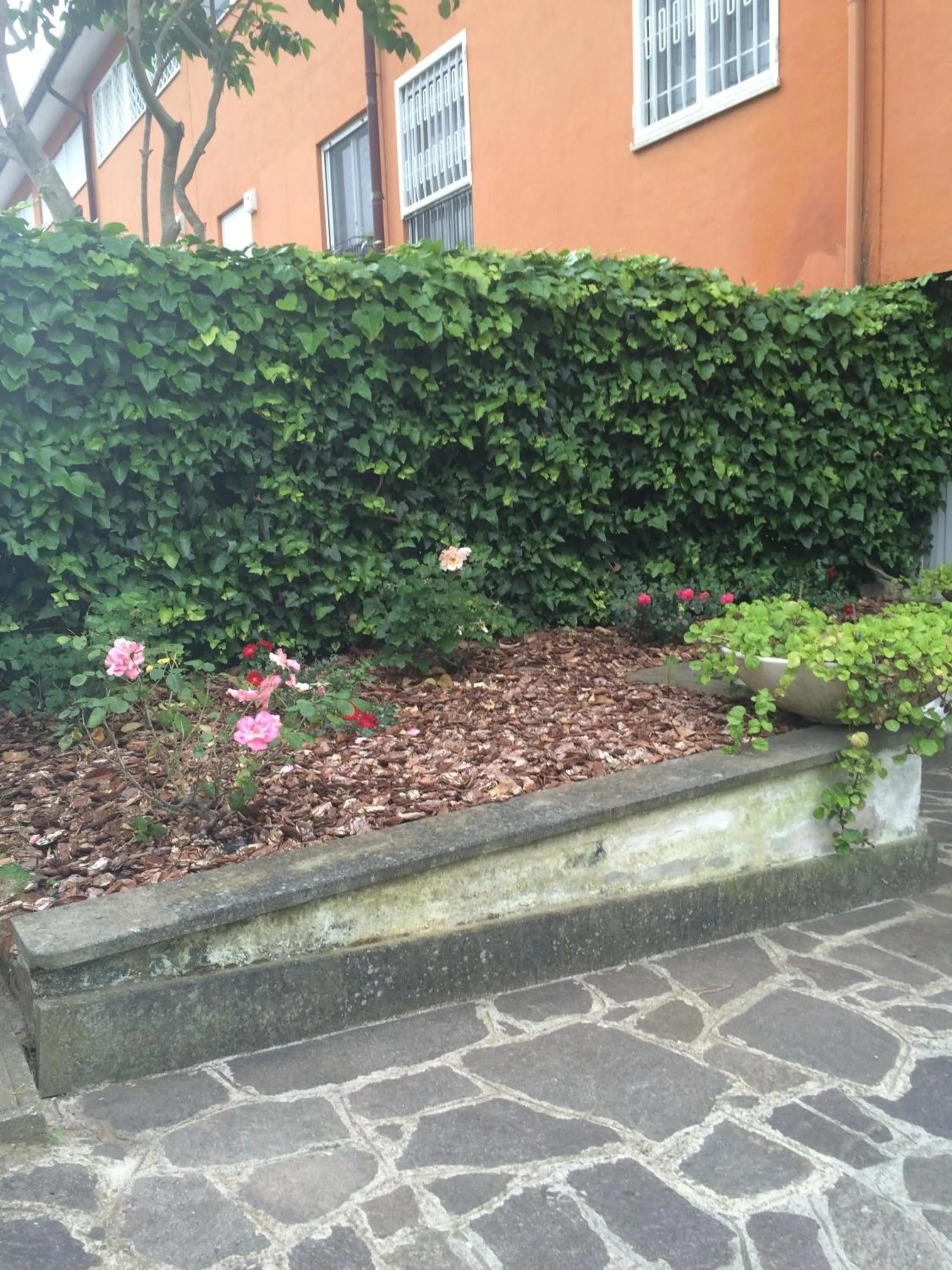 Garden in Apartment Whenlifeisbetter