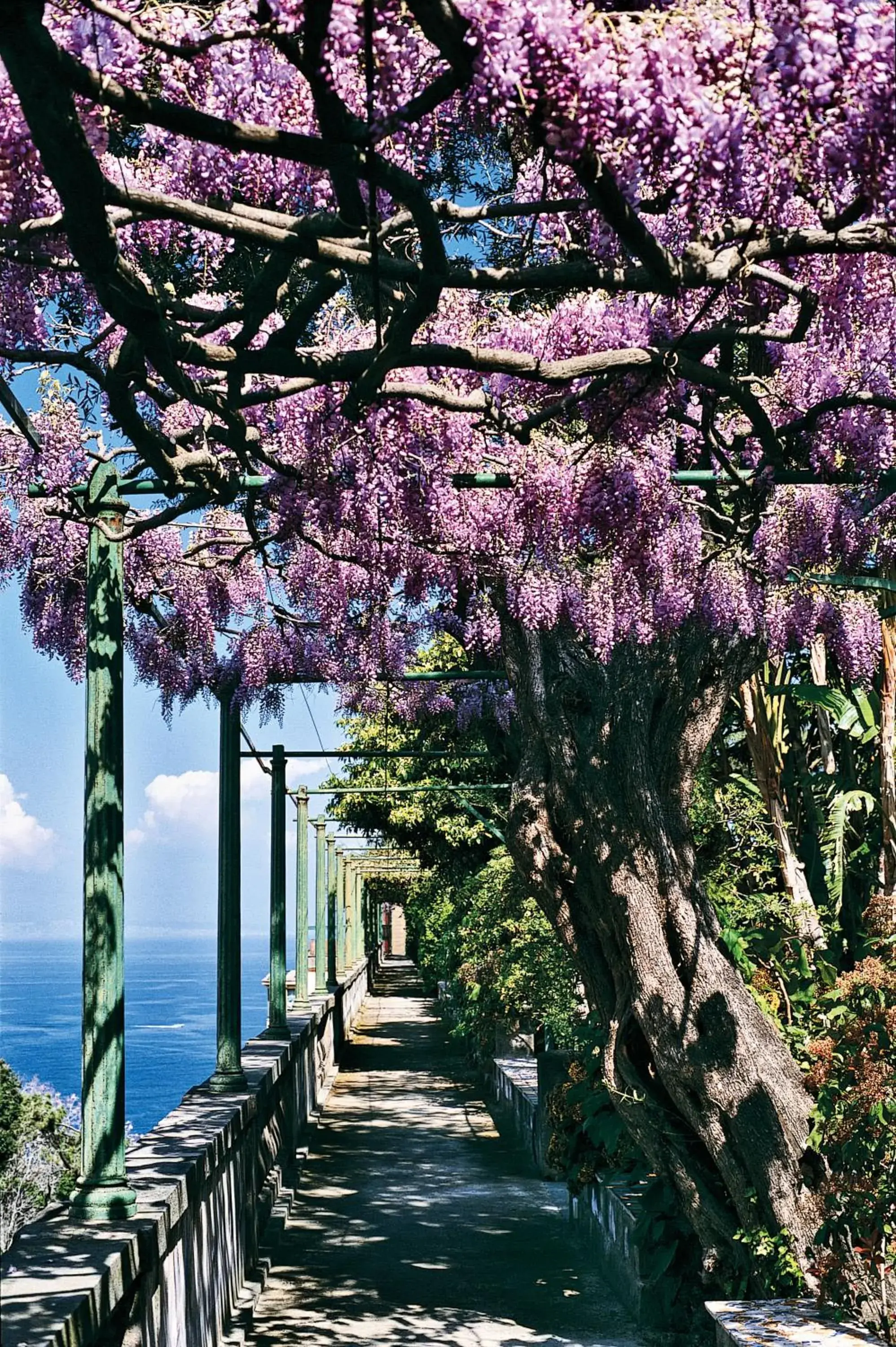 View (from property/room) in Grand Hotel Excelsior Vittoria View (from property/room) in Grand Hotel Excelsior Vittoria