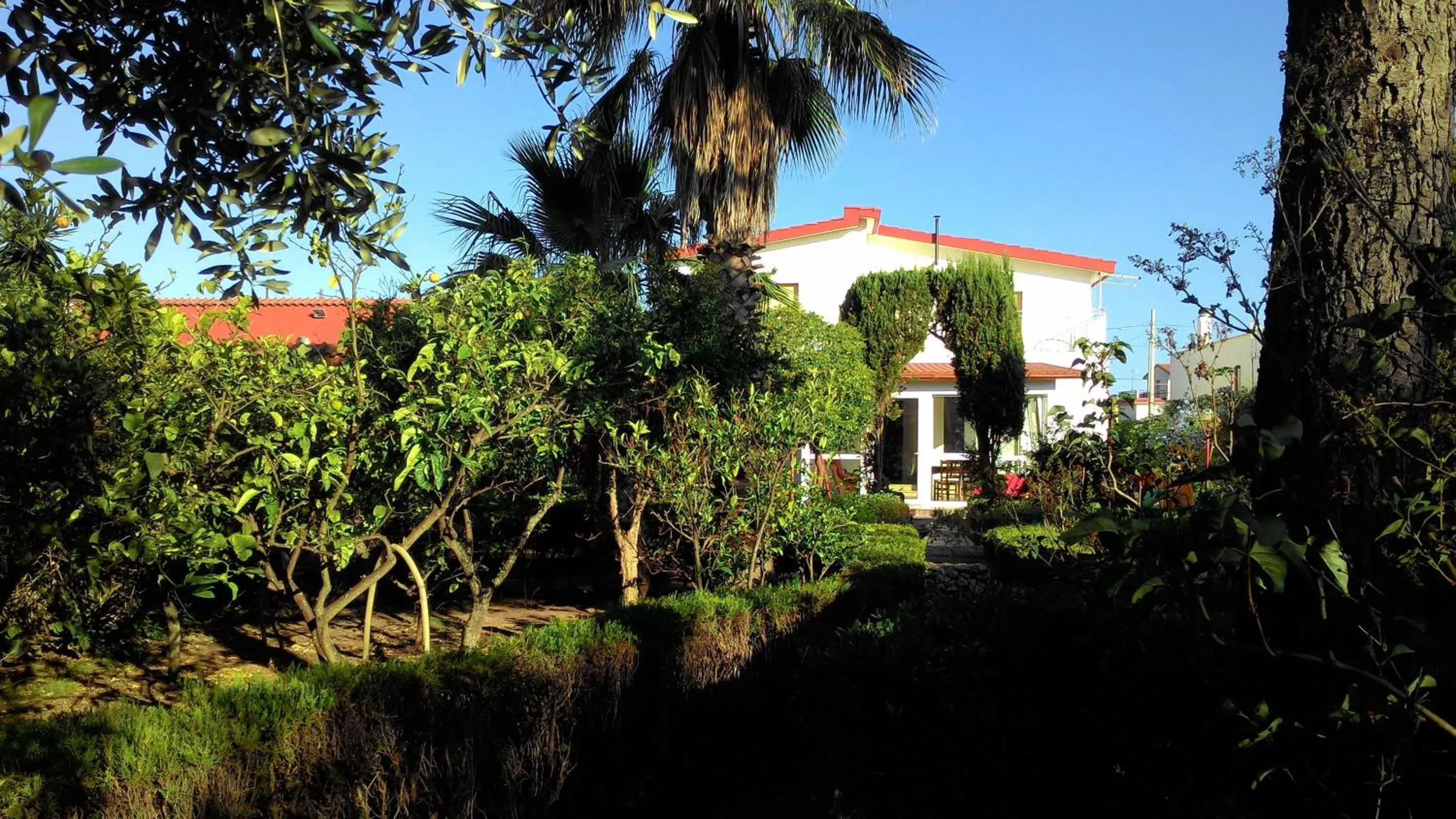 B&B L'Oasi dei Sogni B&B L'Oasi dei Sogni