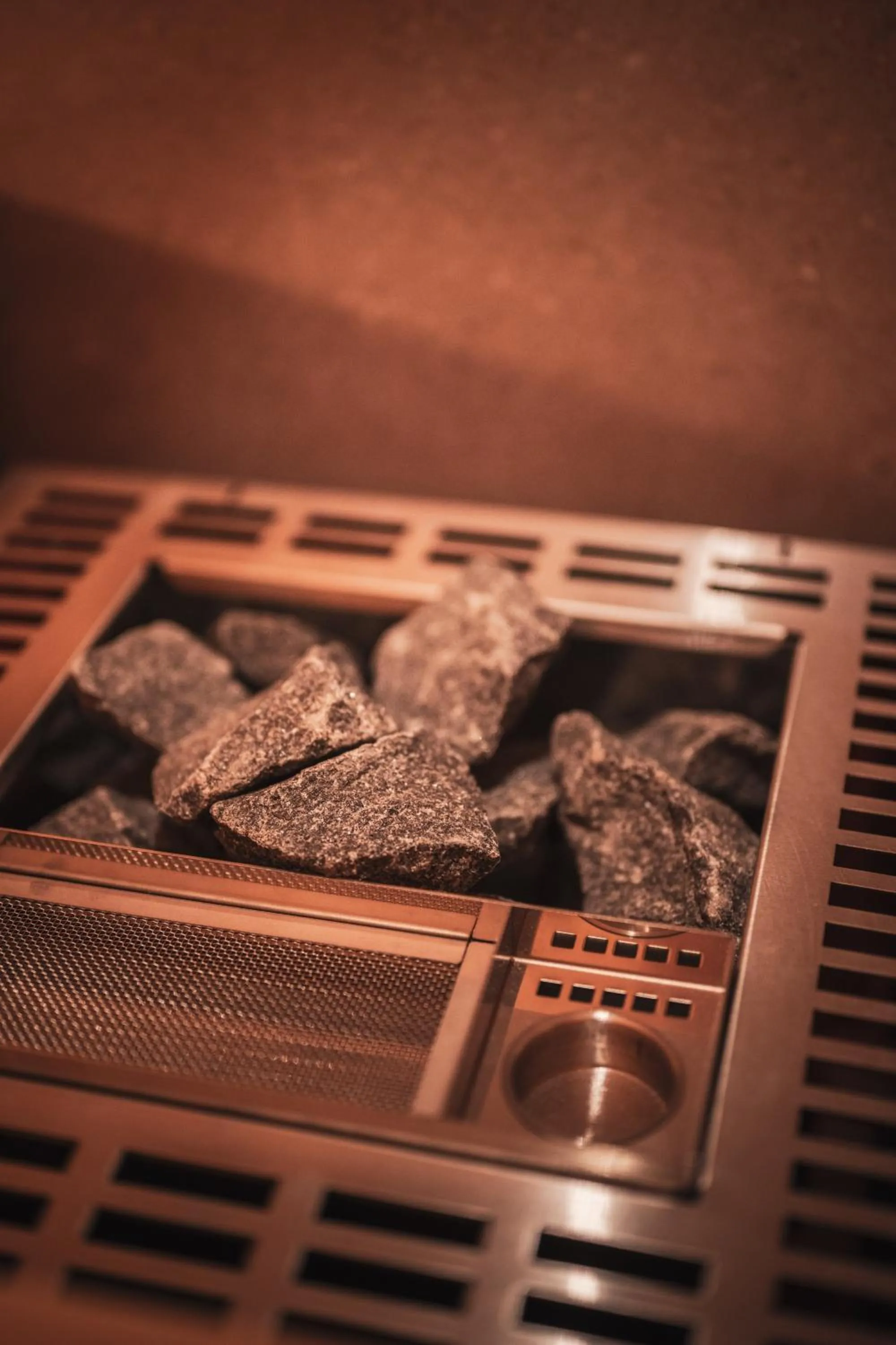 Sauna in Alpine Boutique Hotel wollée