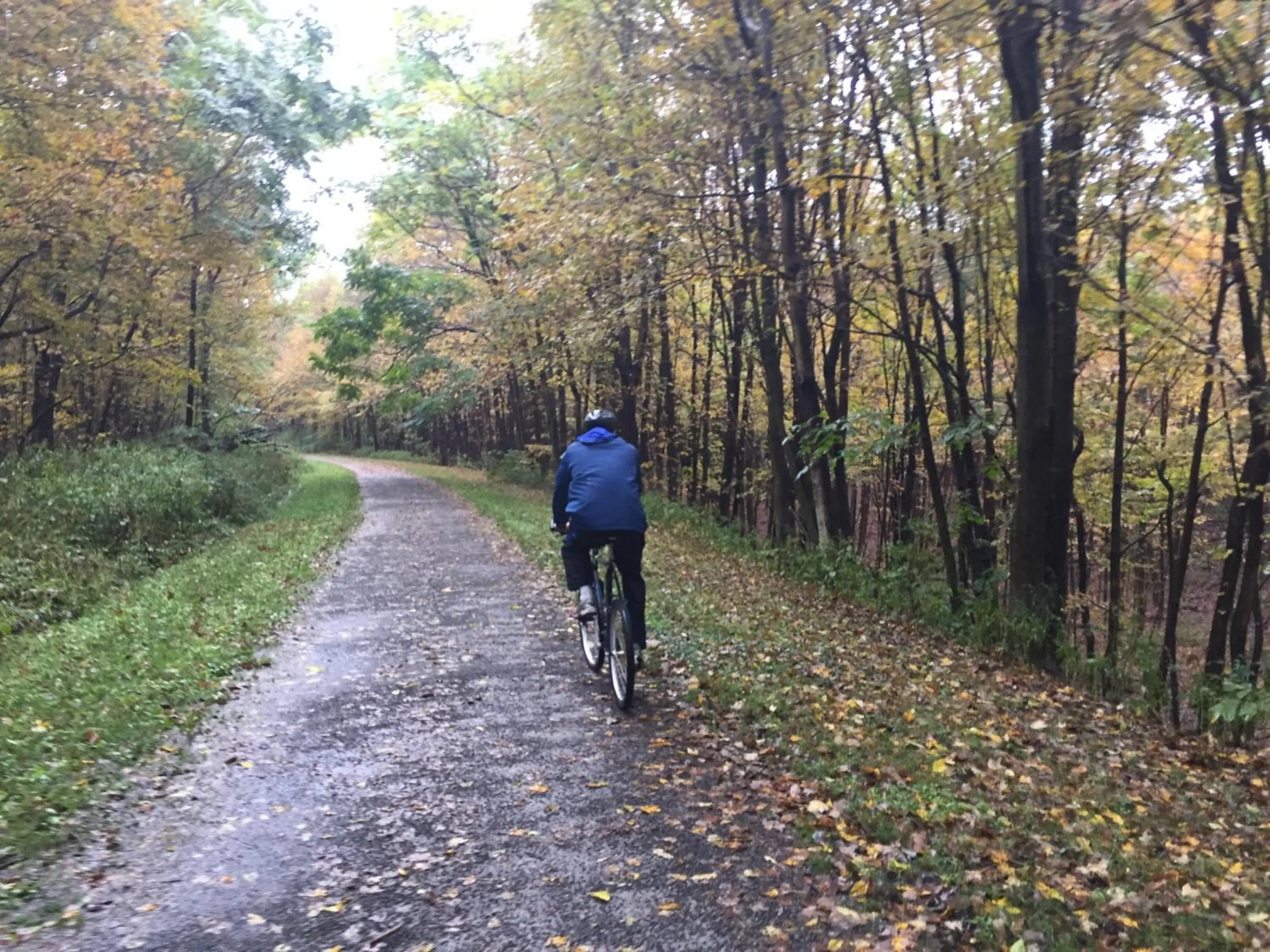 Other in Holiday Inn Express & Suites Cumberland - La Vale by IHG