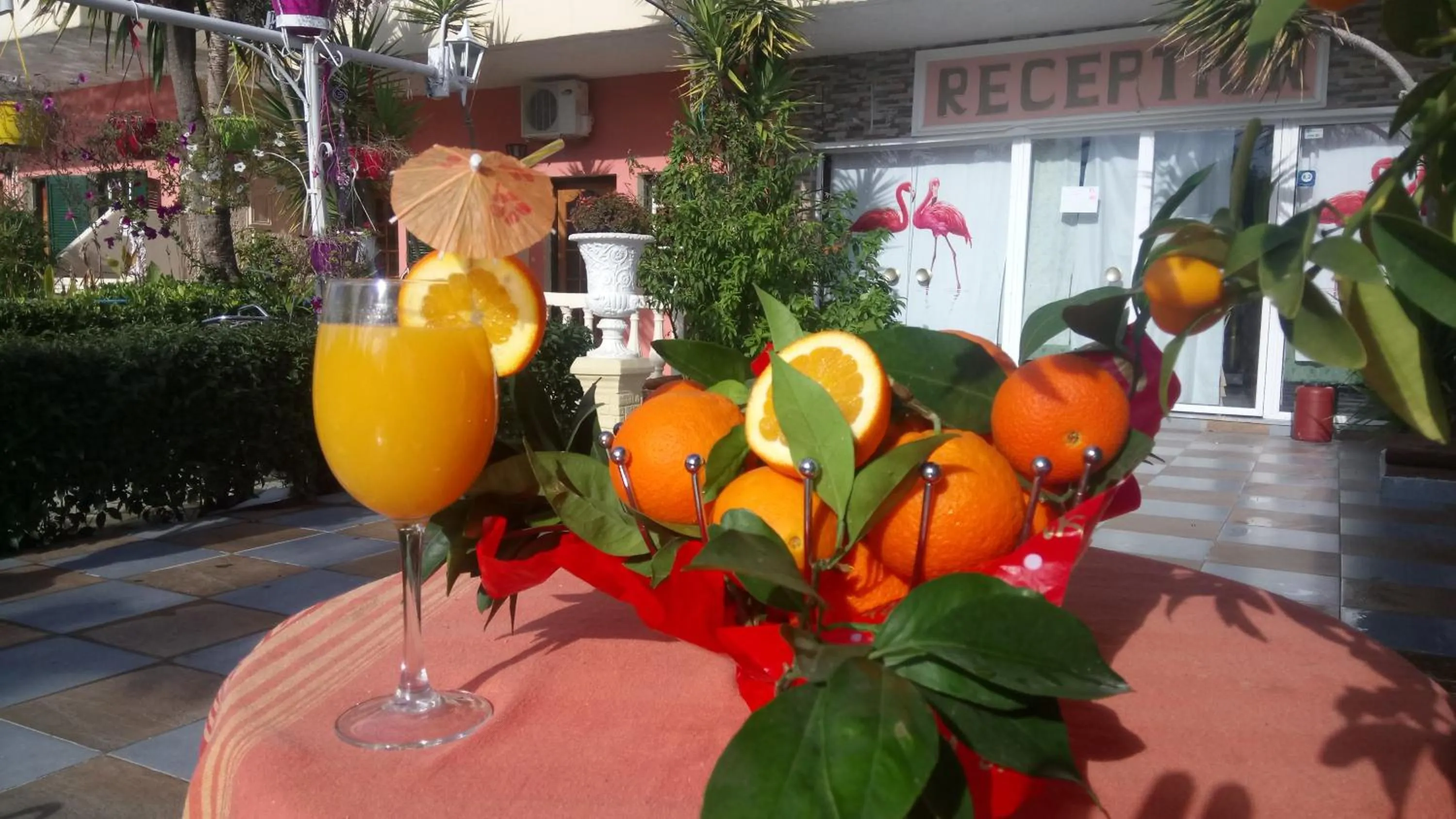 Spring in Flamingo Apartments Moraitika Corfu