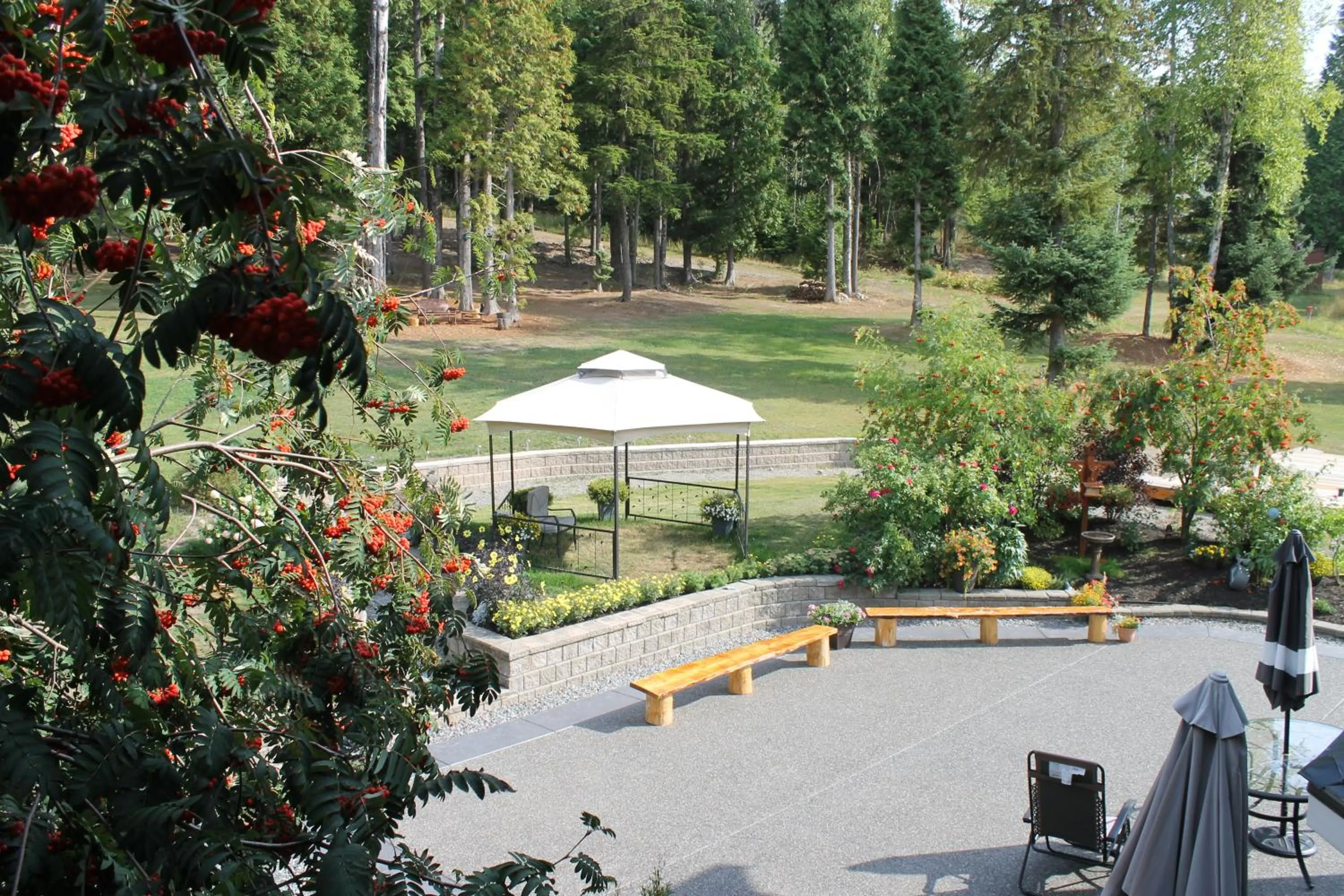 Garden view in Remo Ridge Bed N Breakfast