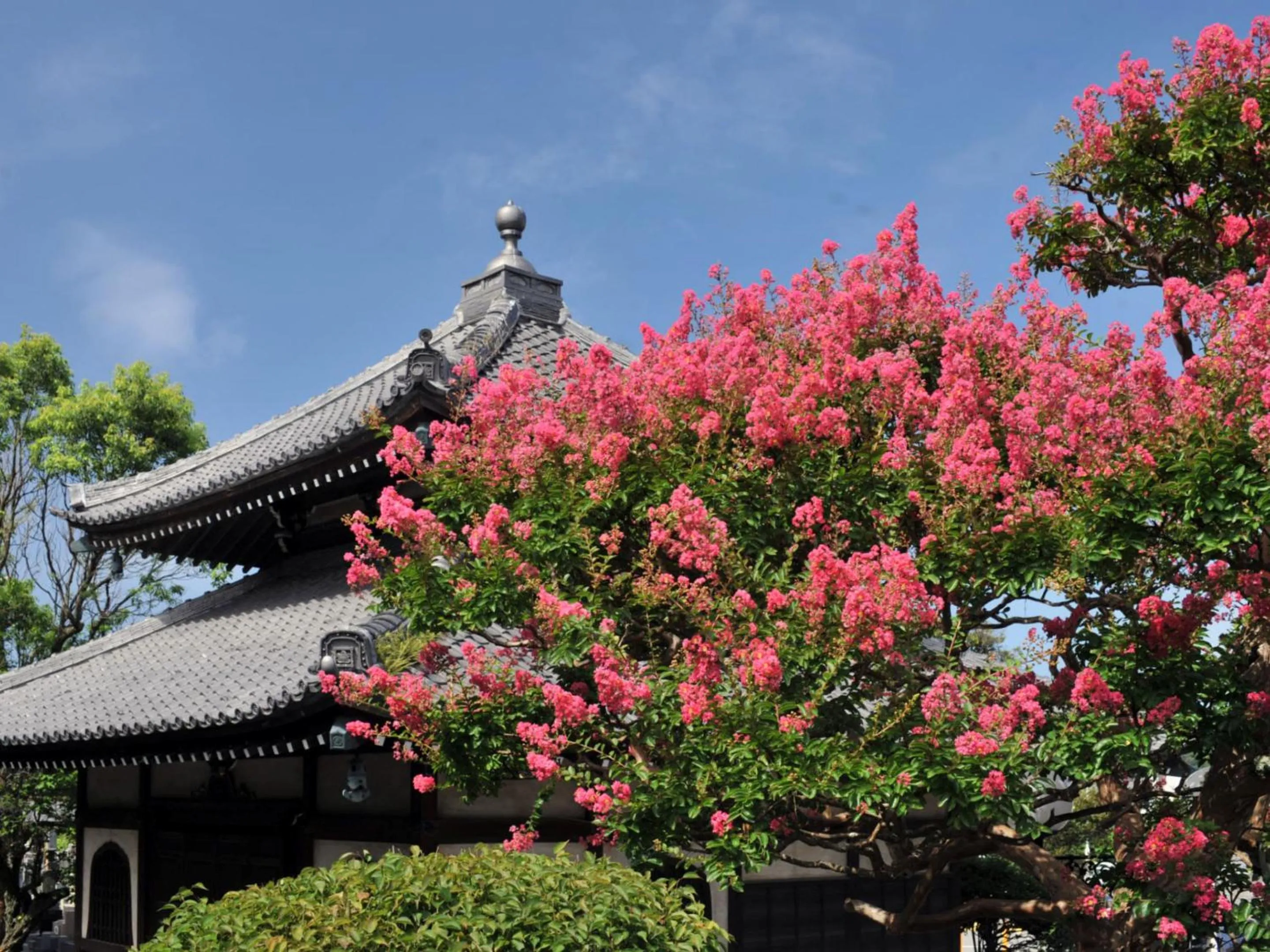 Nearby landmark in Kaihinsou Kamakura