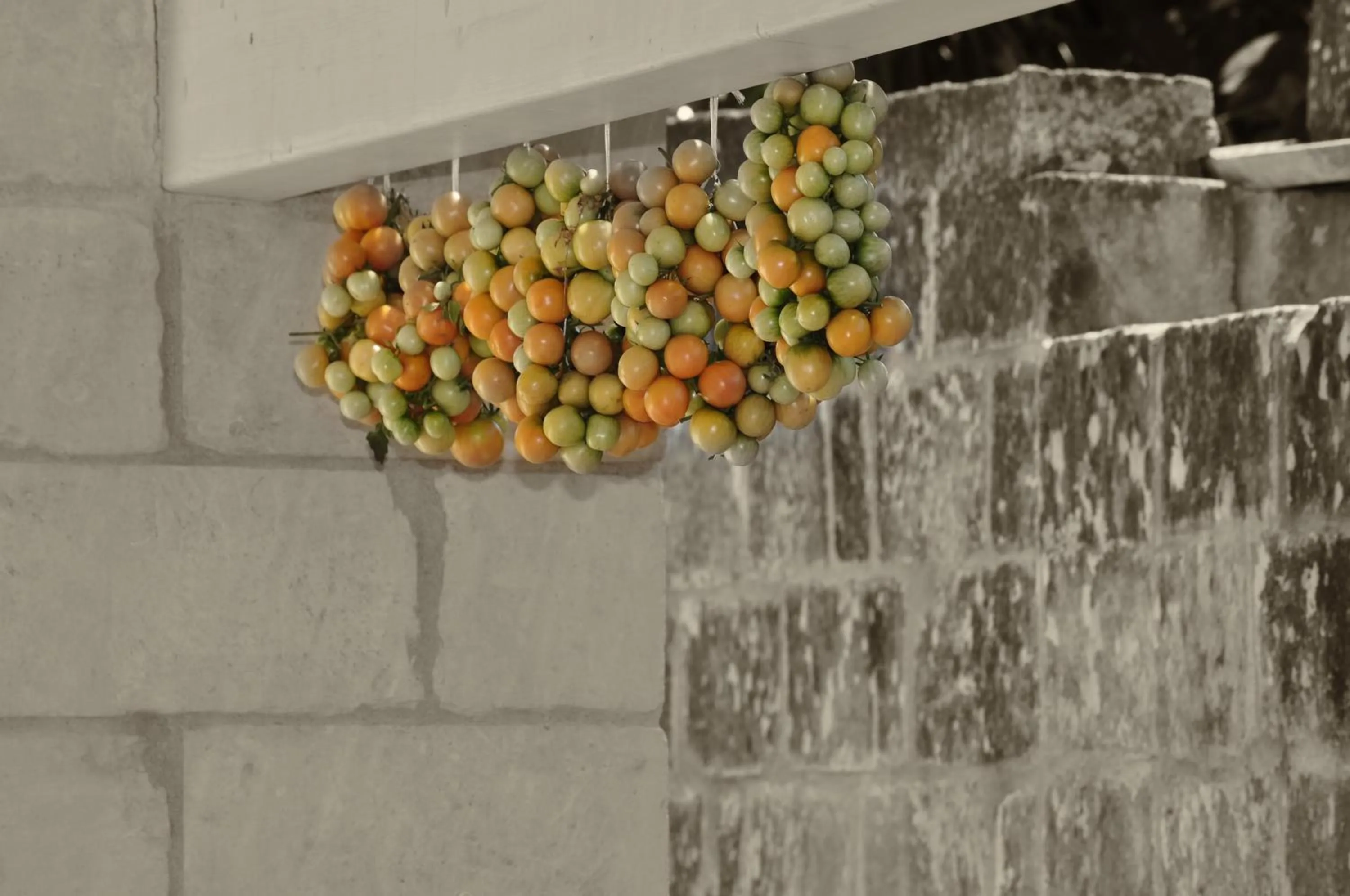 Decorative detail in Agriturismo La Turrita