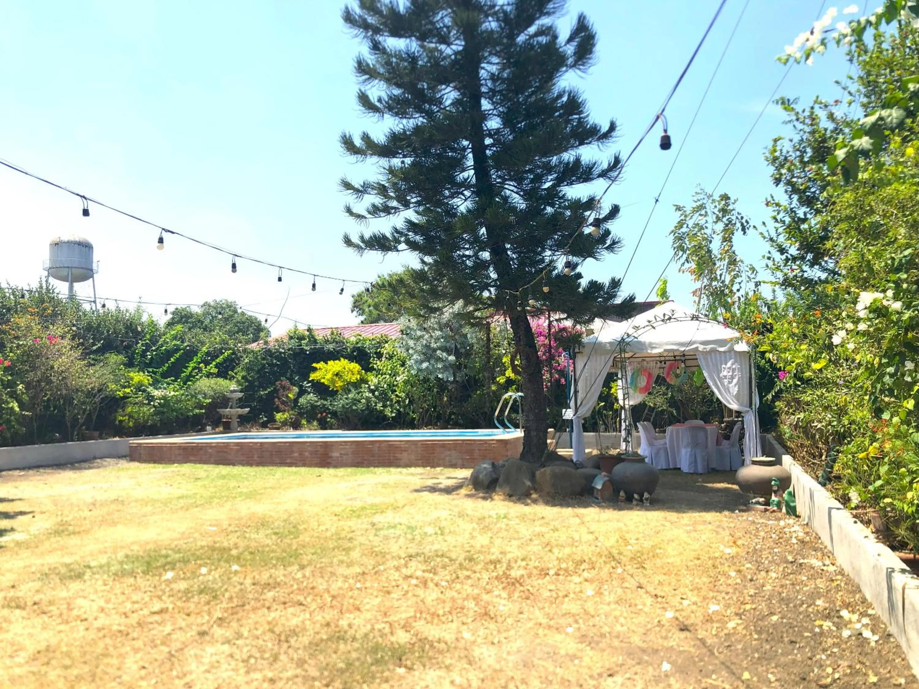 Garden in Madie's Place B&B with Private Pool in Santa Rosa near Enchanted Kingdom