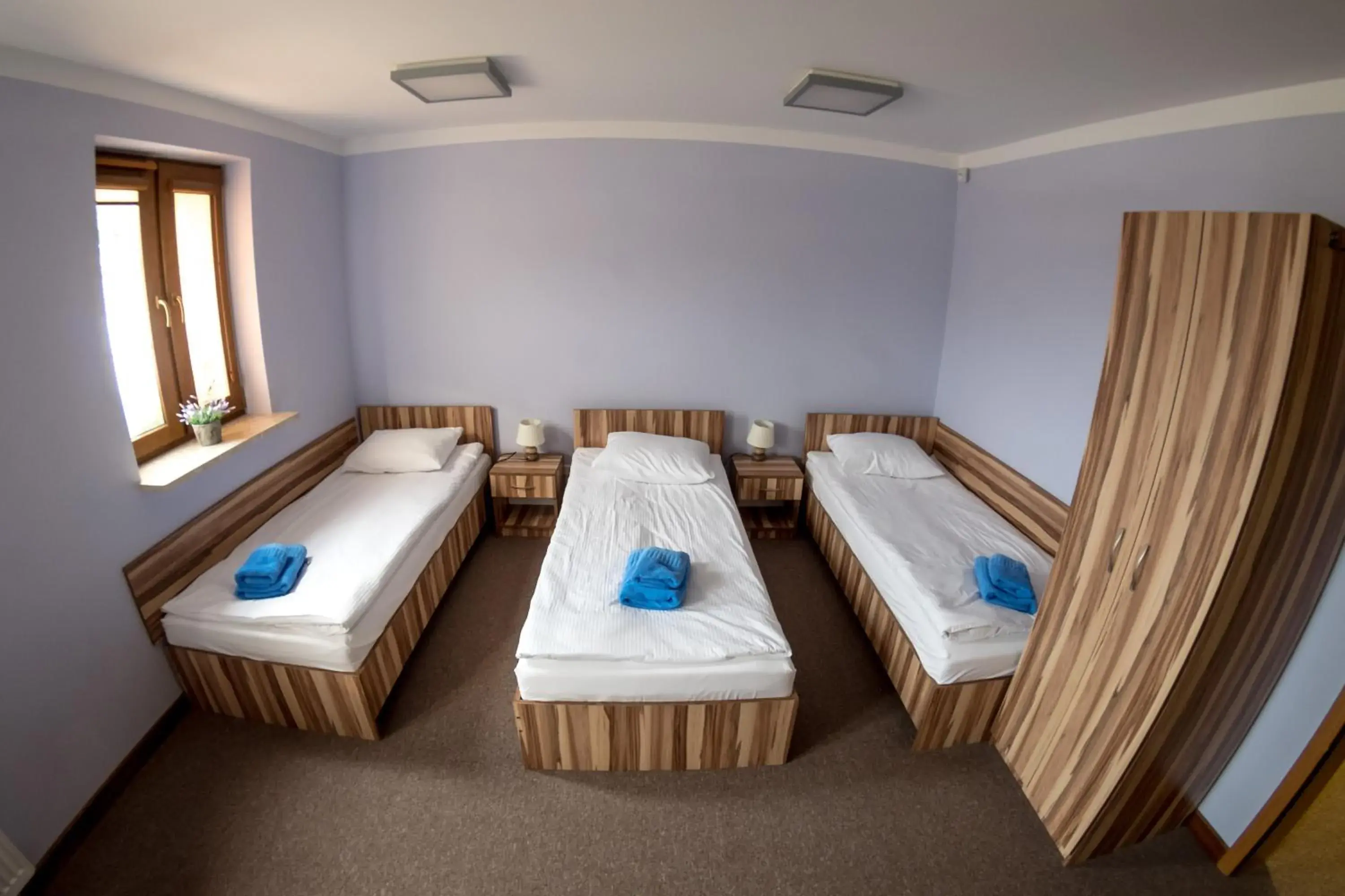 Triple Room in Da Vinci Triple Room in Da Vinci