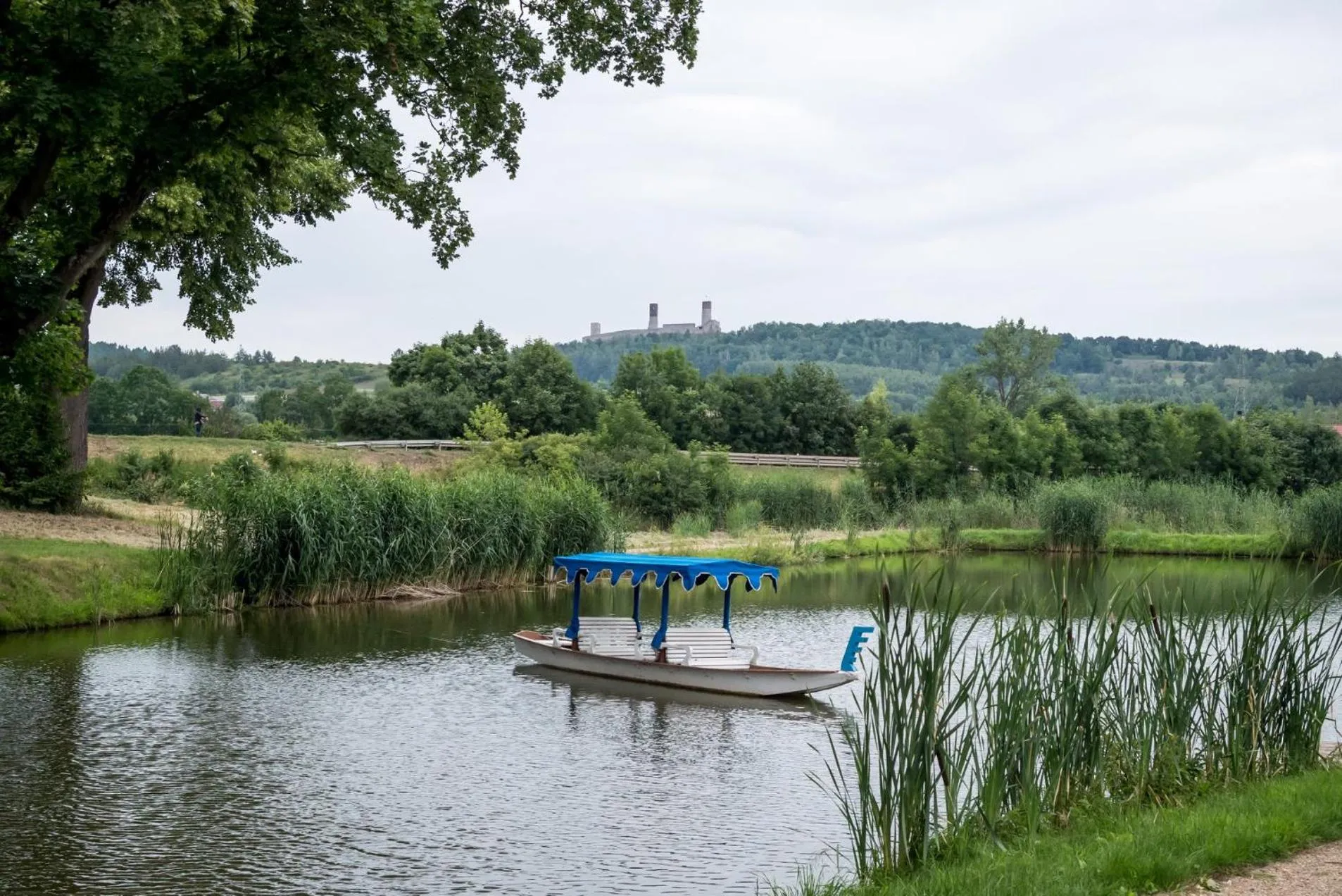 Activities in Da Vinci