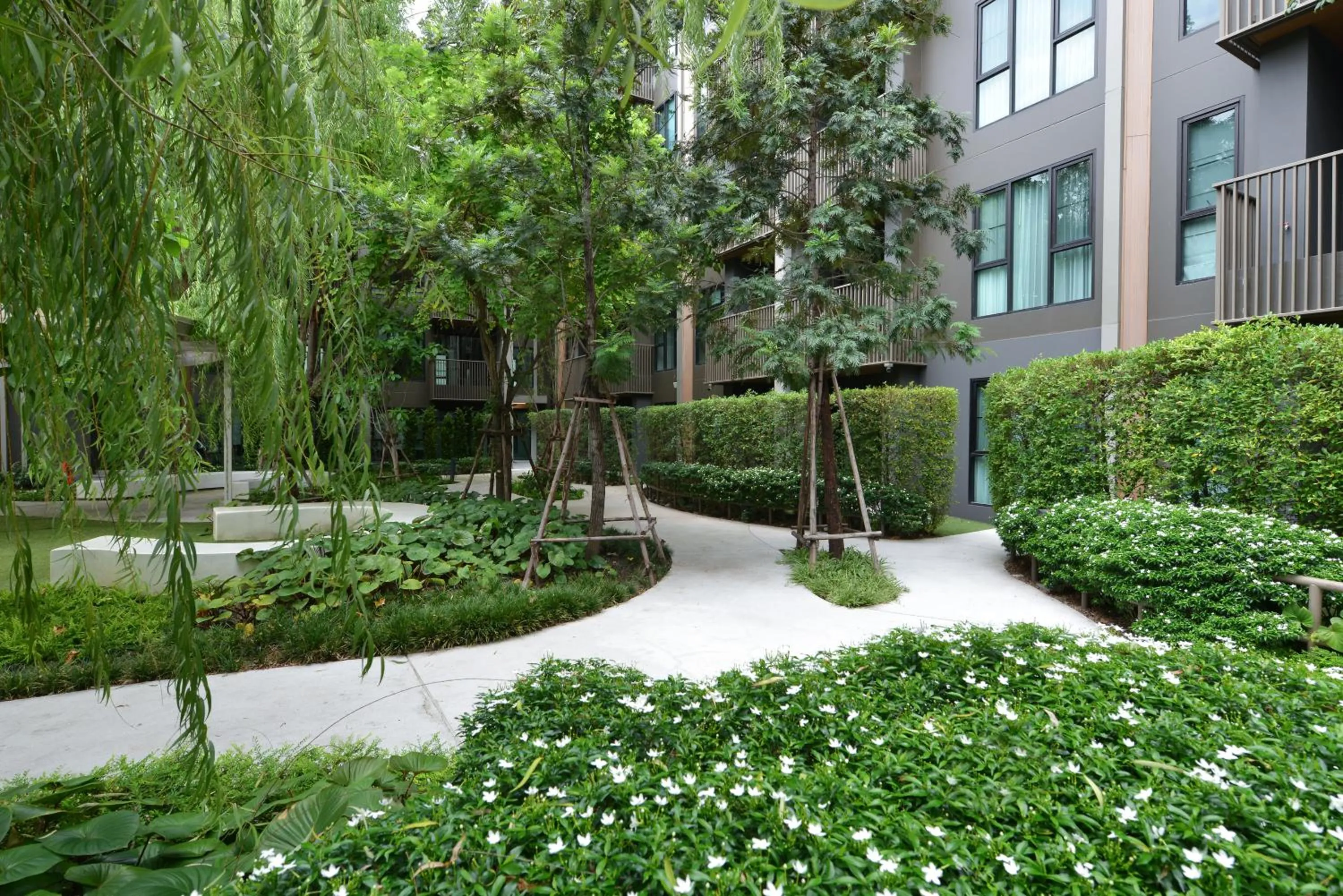 Garden in SENS Hotel