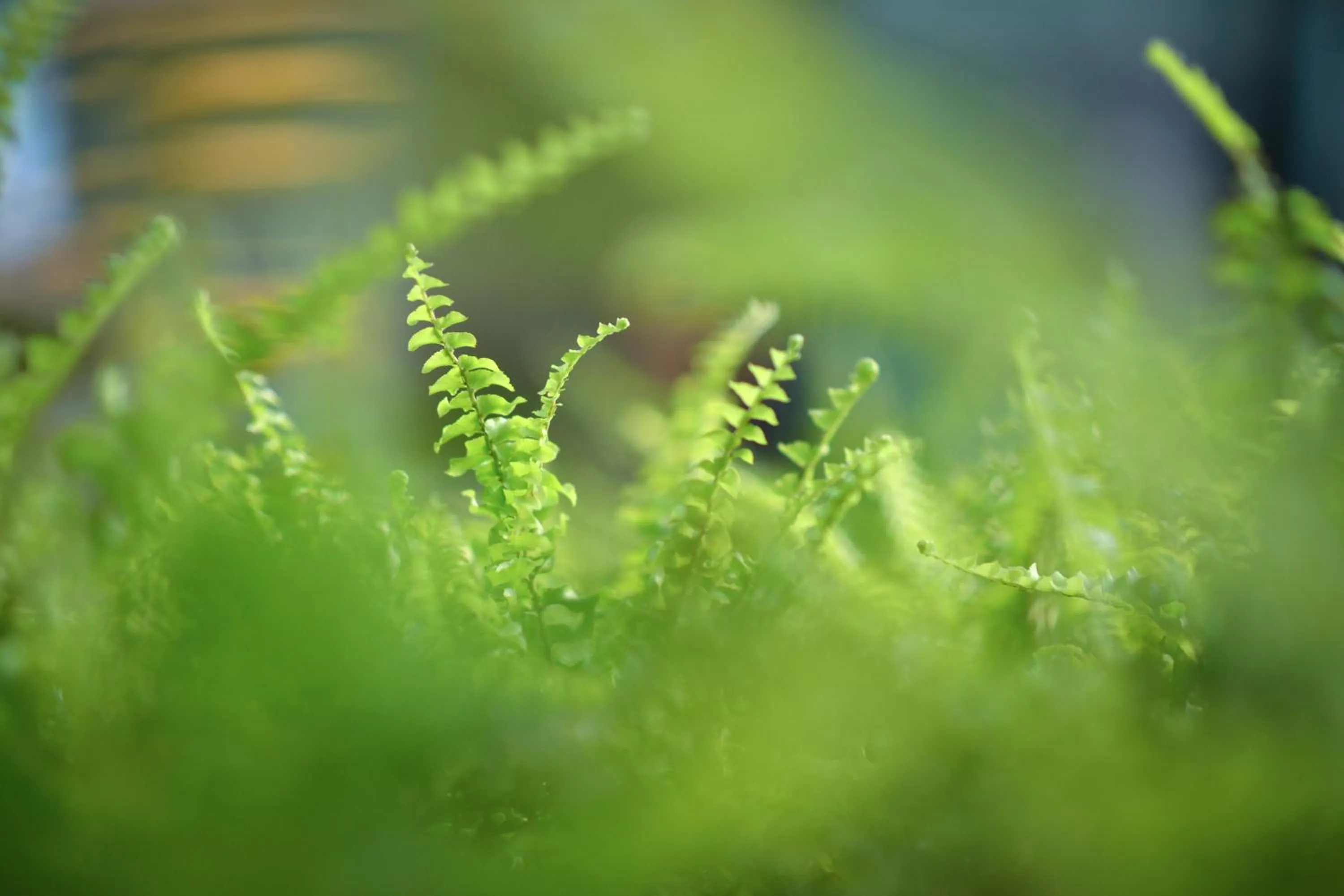 Property building in SENS Hotel