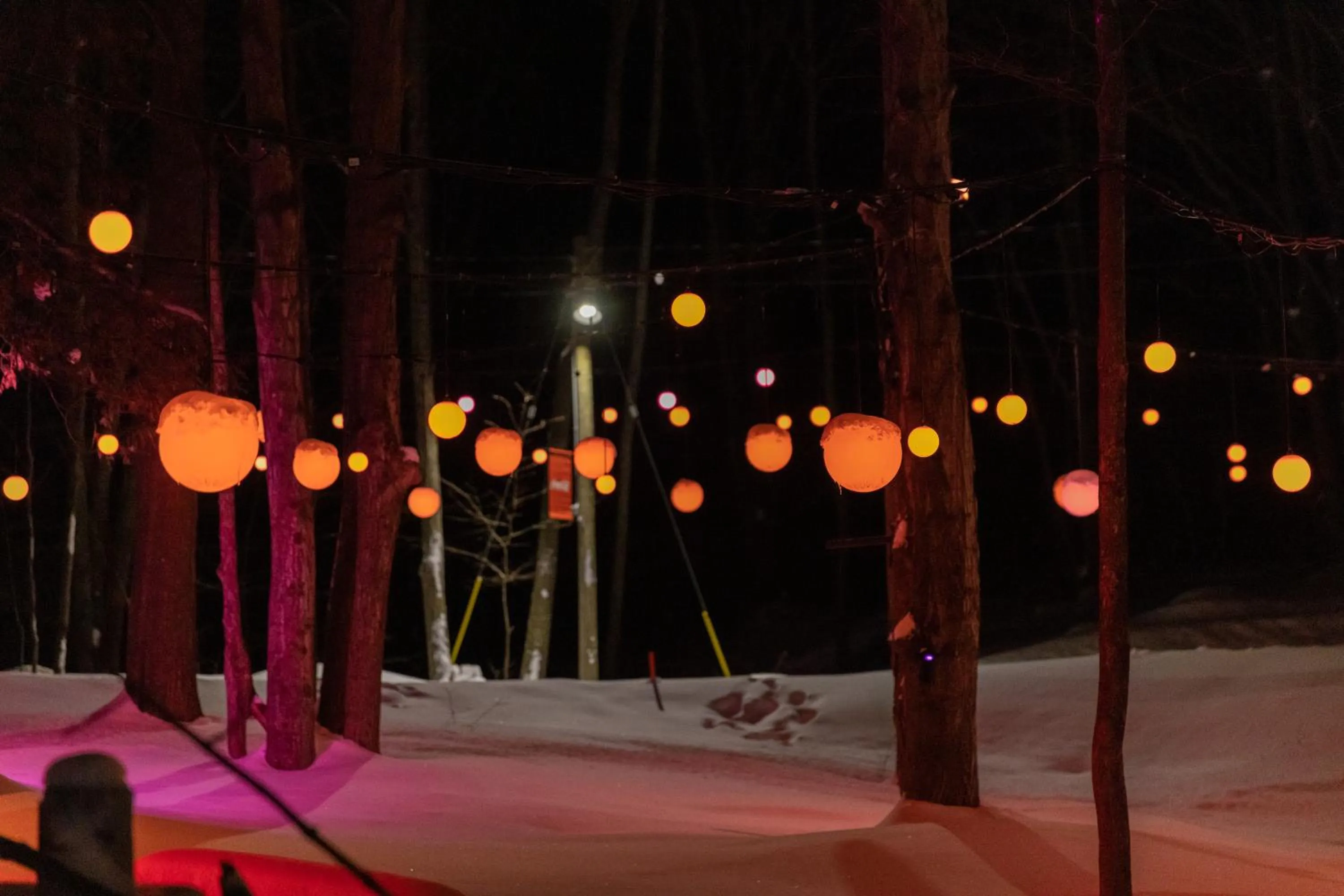 Night in Blue Mountain Resort Village Suites