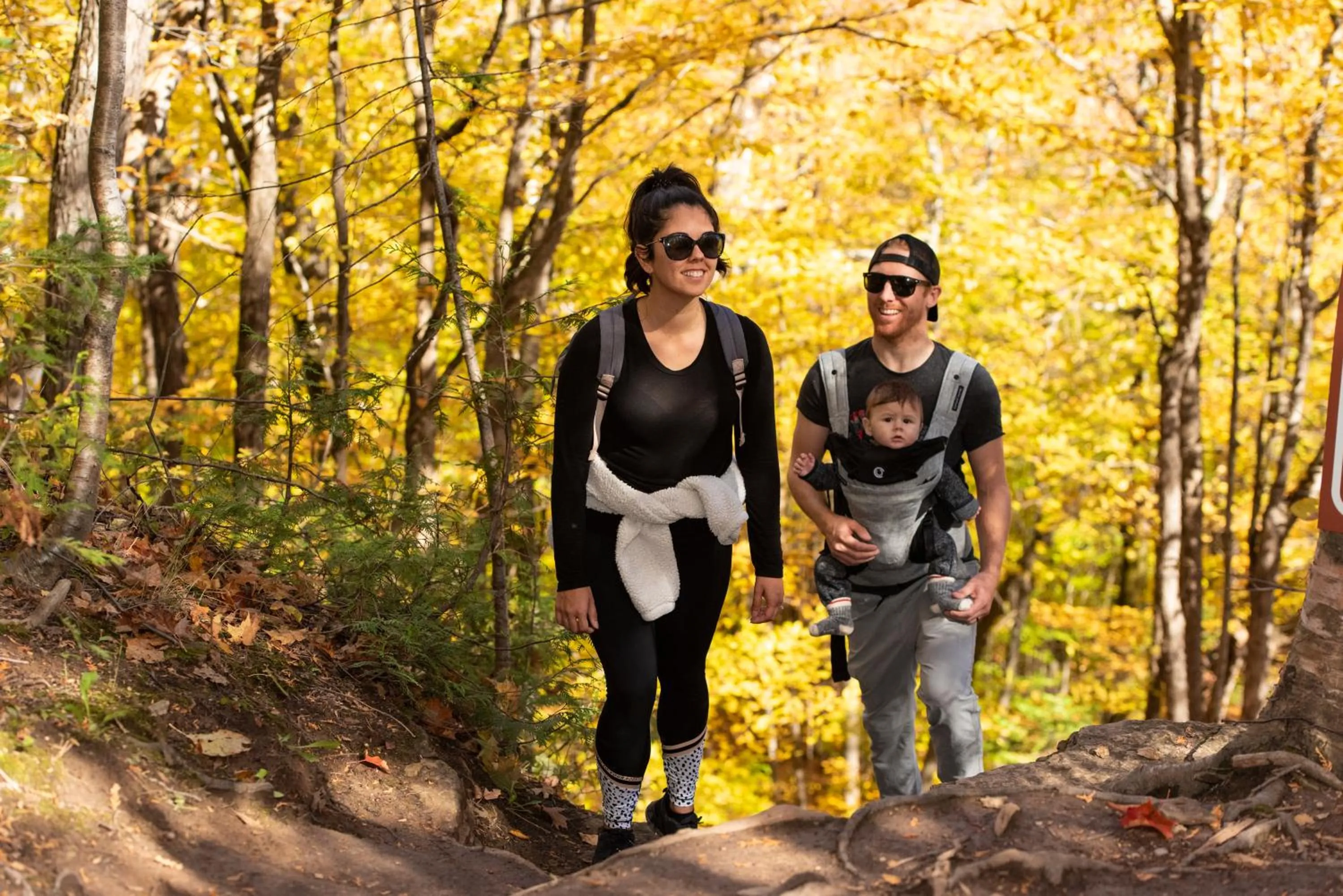 Natural landscape in Blue Mountain Resort Village Suites