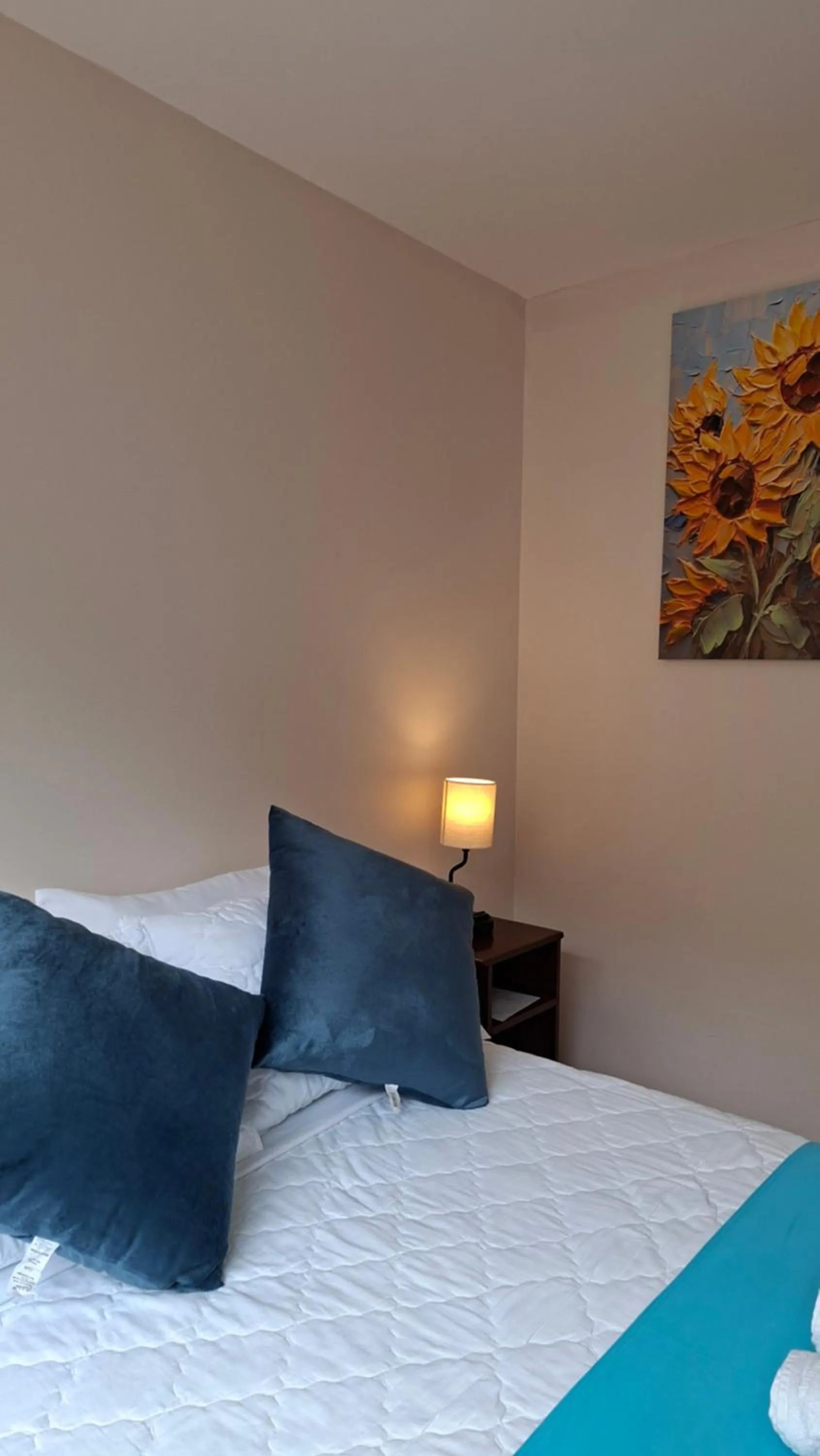Deluxe Room - single occupancy in Hotel Shannon 360