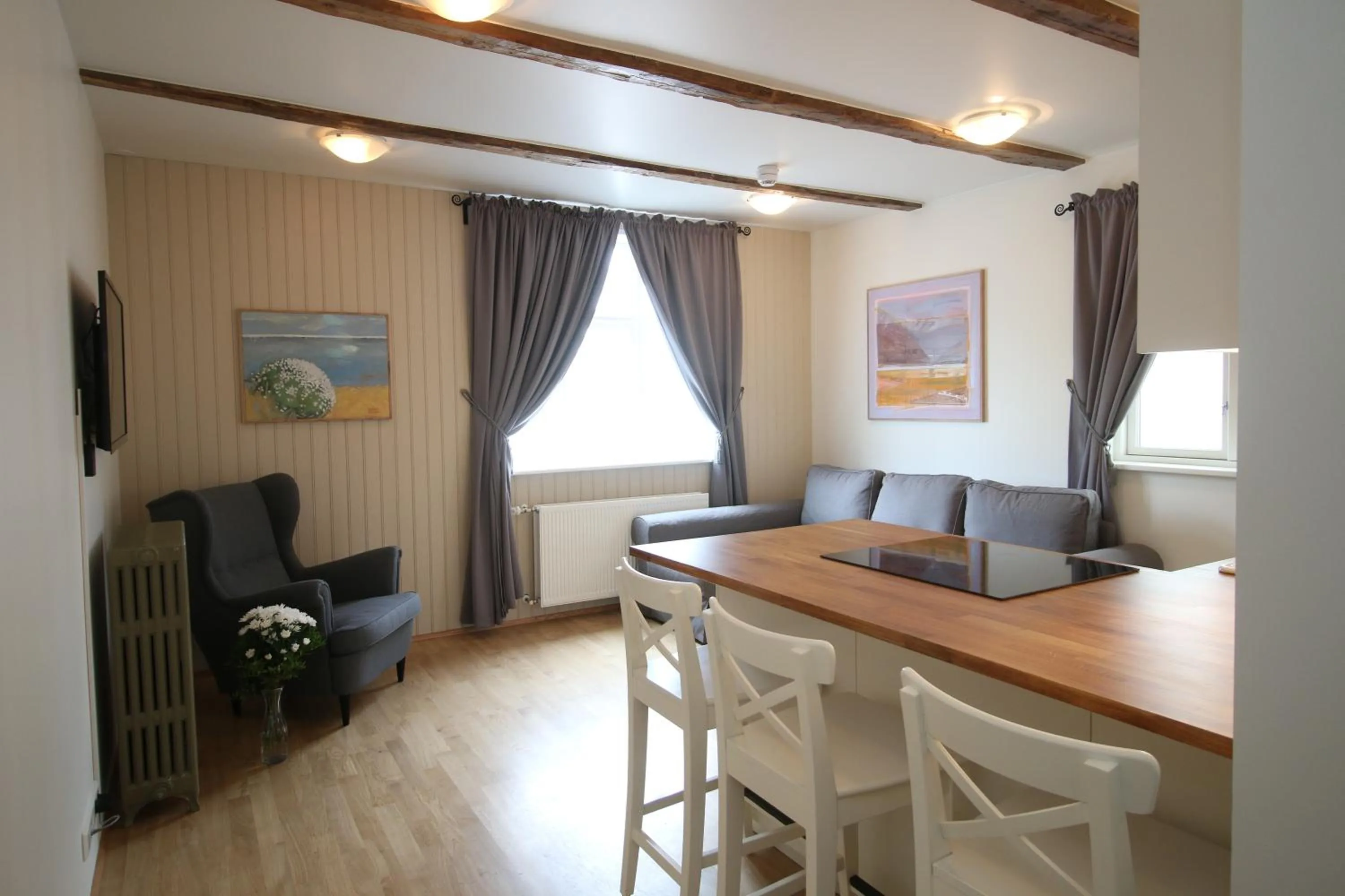 TV and multimedia in Acco Ice Apartments