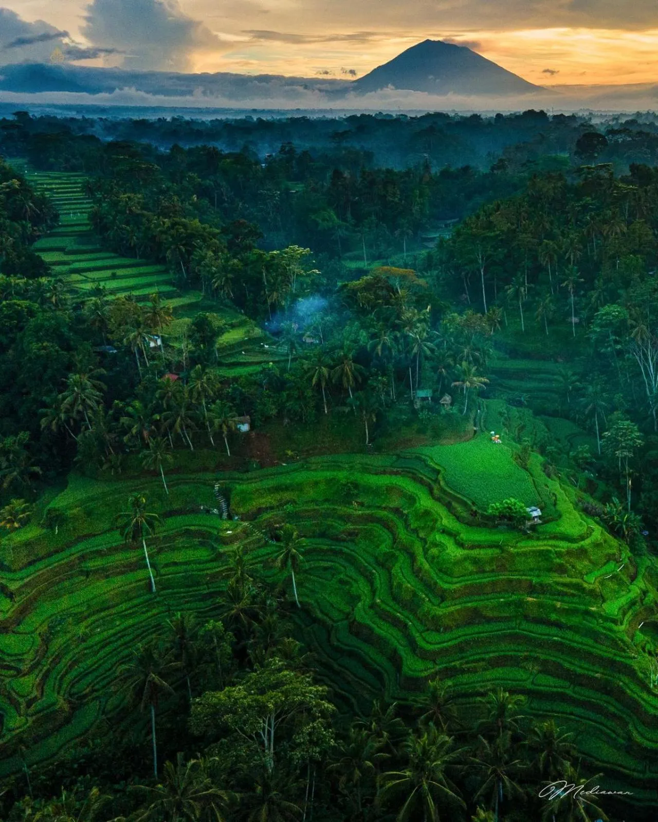 Nearby landmark in Ascarya Ubud