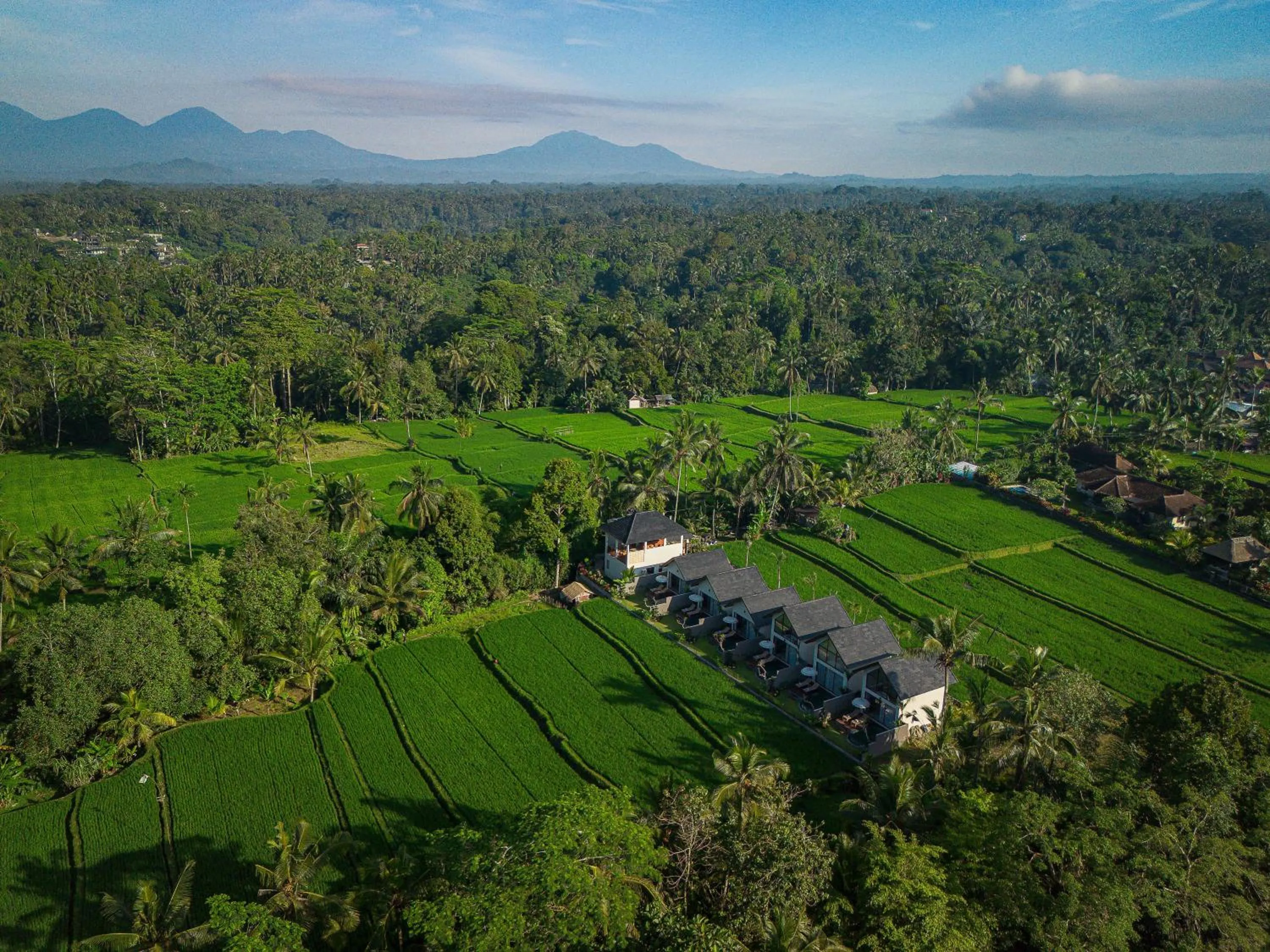 Bird's eye view in Ascarya Ubud
