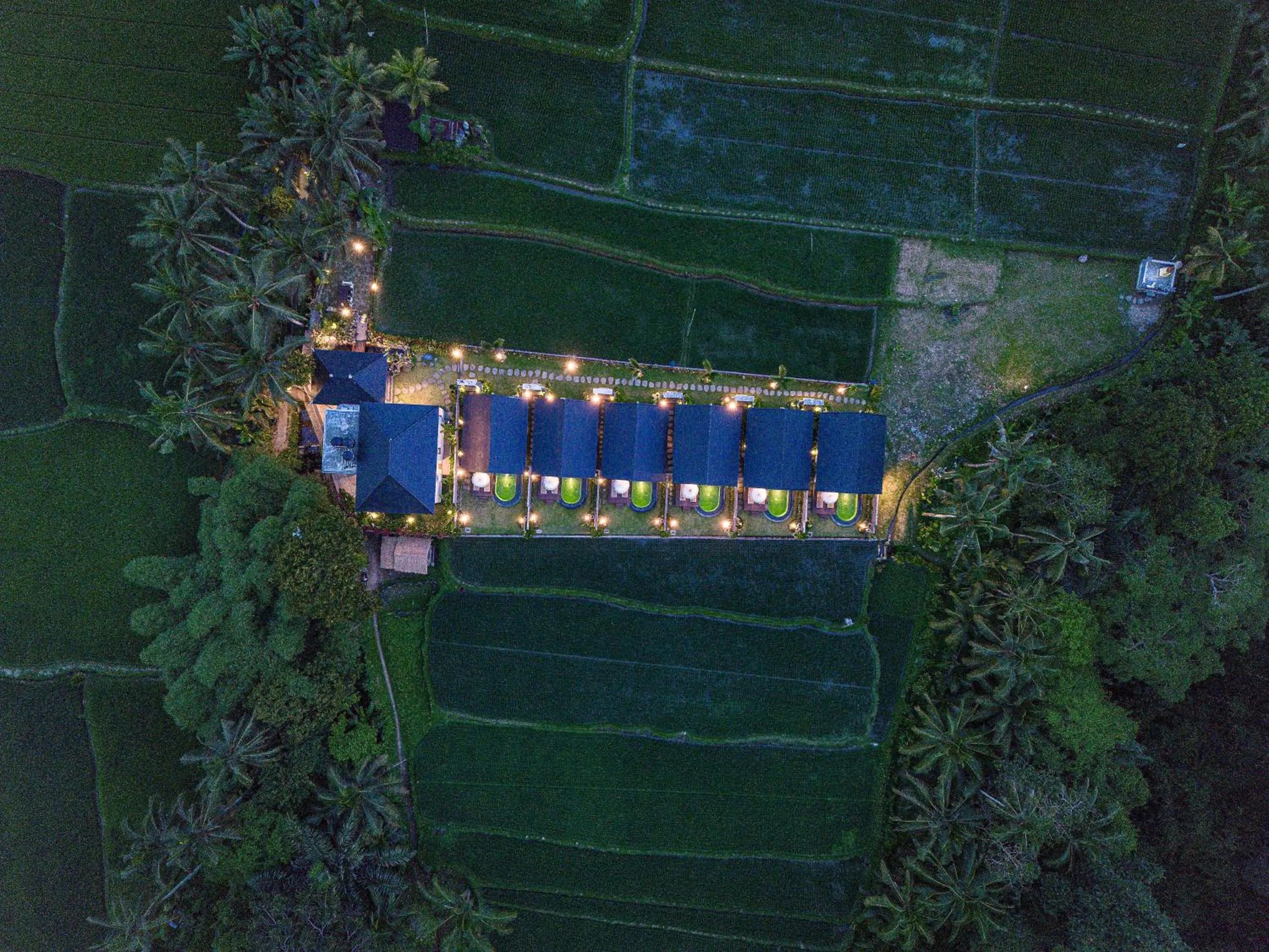 Night in Ascarya Ubud