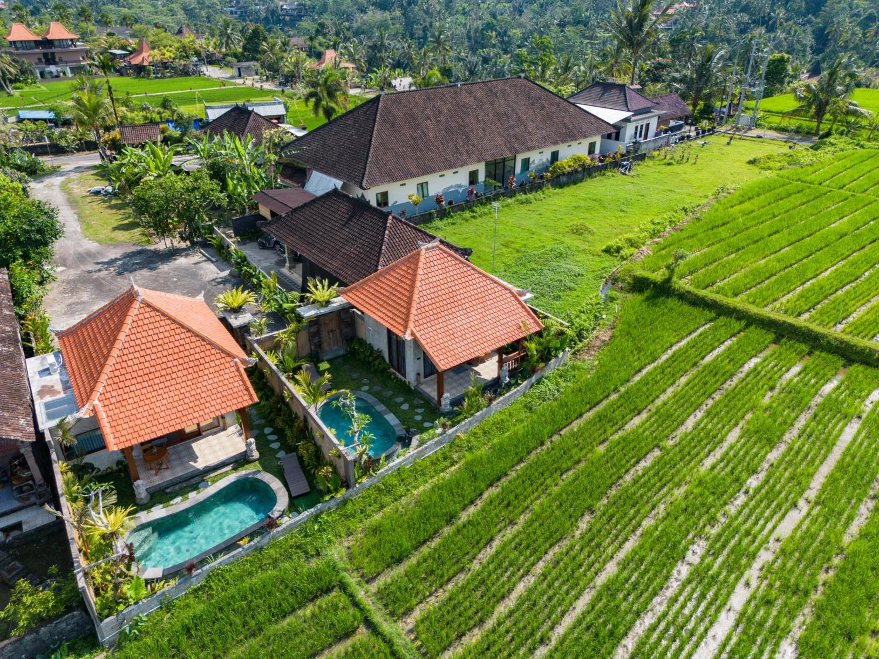 Spring in Seelong Villa Ubud by Dhananjaya Hospitality