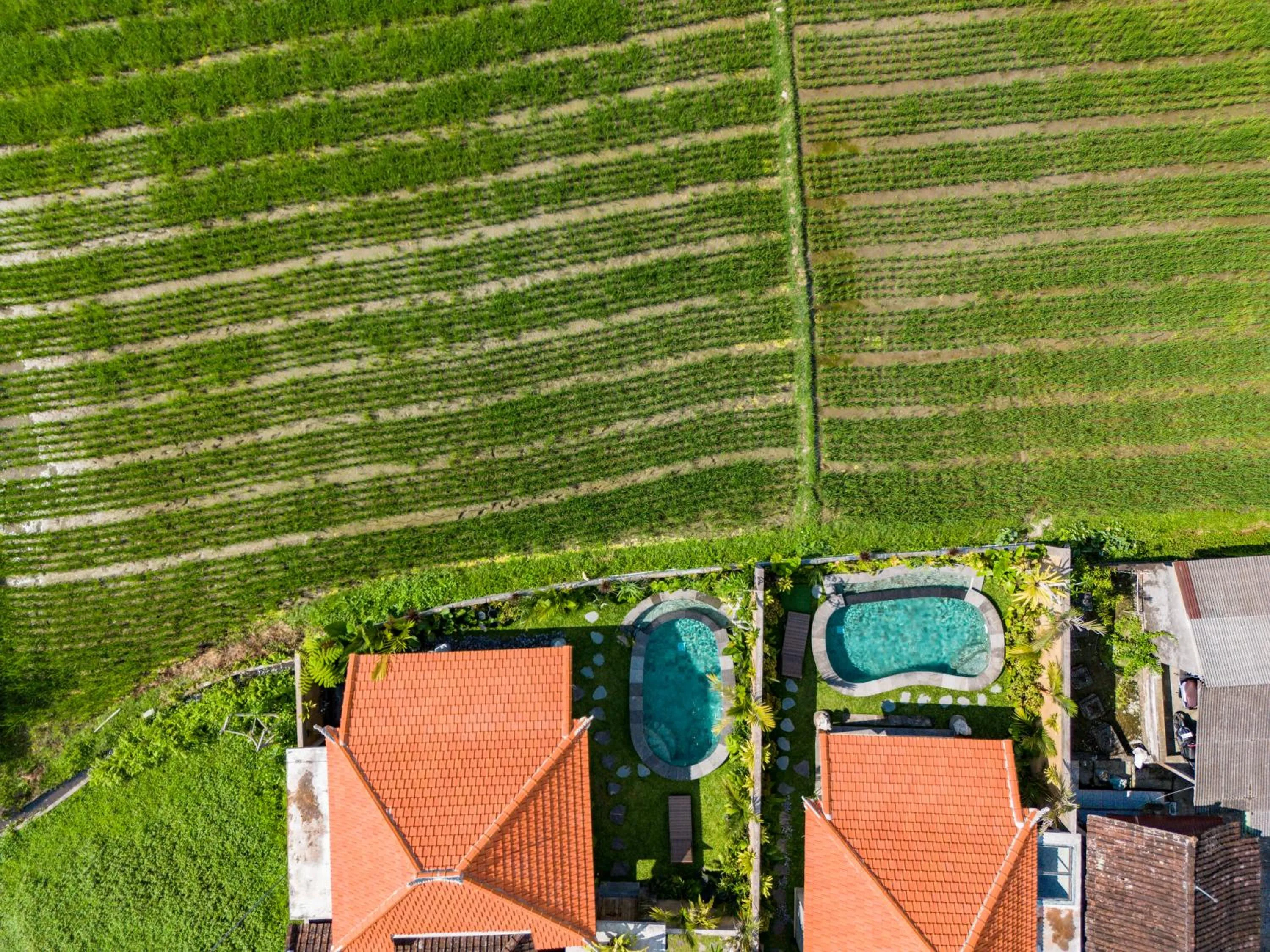 Spring in Seelong Villa Ubud by Dhananjaya Hospitality