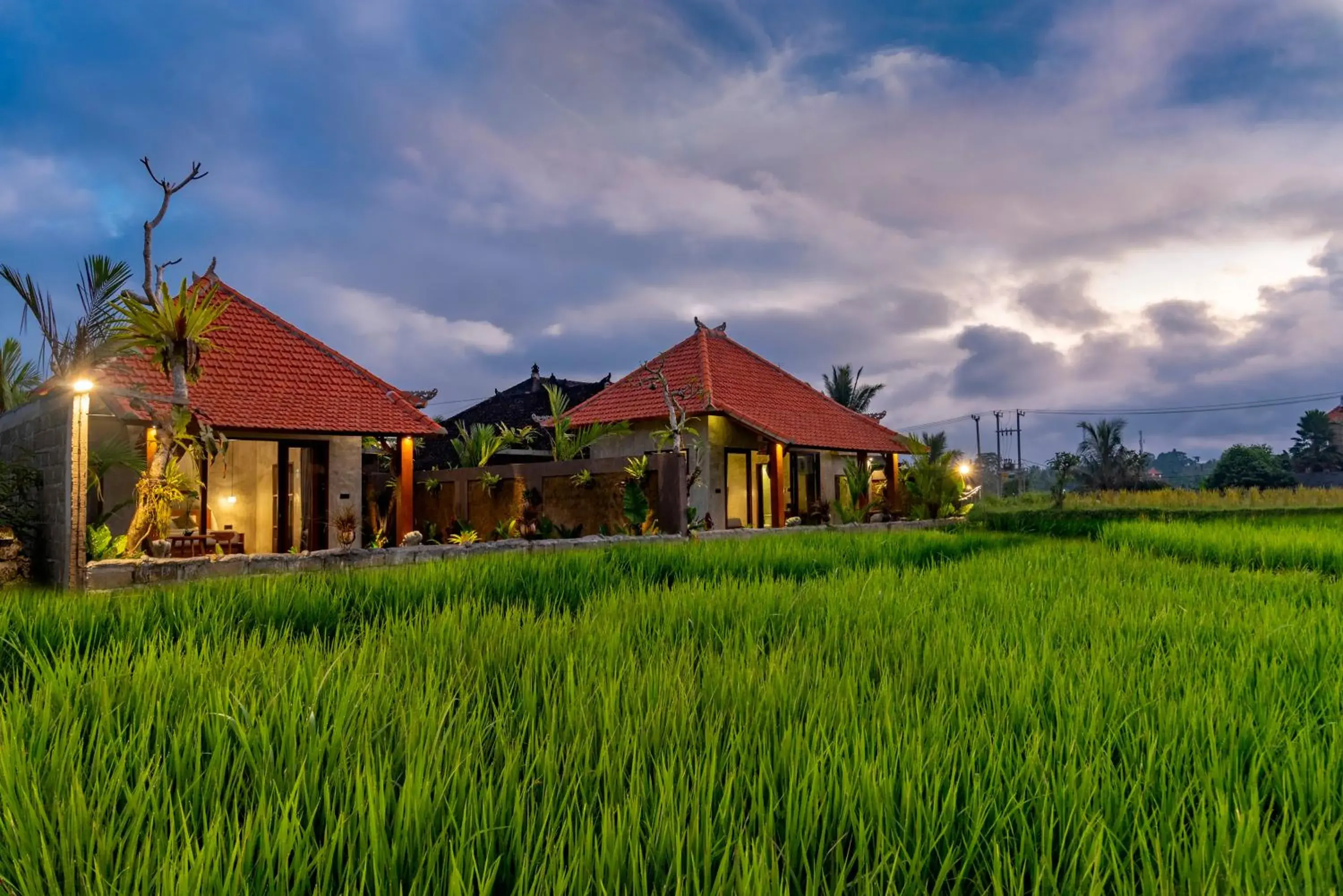 Rice Field View Private Pool Villa With Benefits in Seelong Villa Ubud by Dhananjaya Hospitality Rice Field View Private Pool Villa With Benefits in Seelong Villa Ubud by Dhananjaya Hospitality