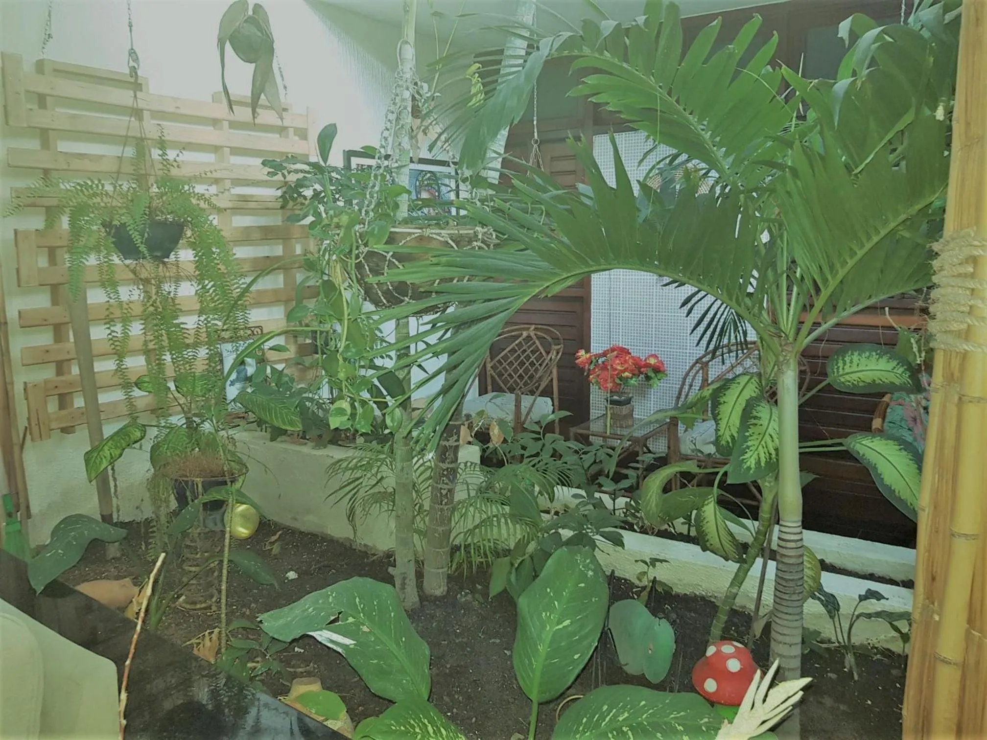 Decorative detail in Pousada Terra Garrida