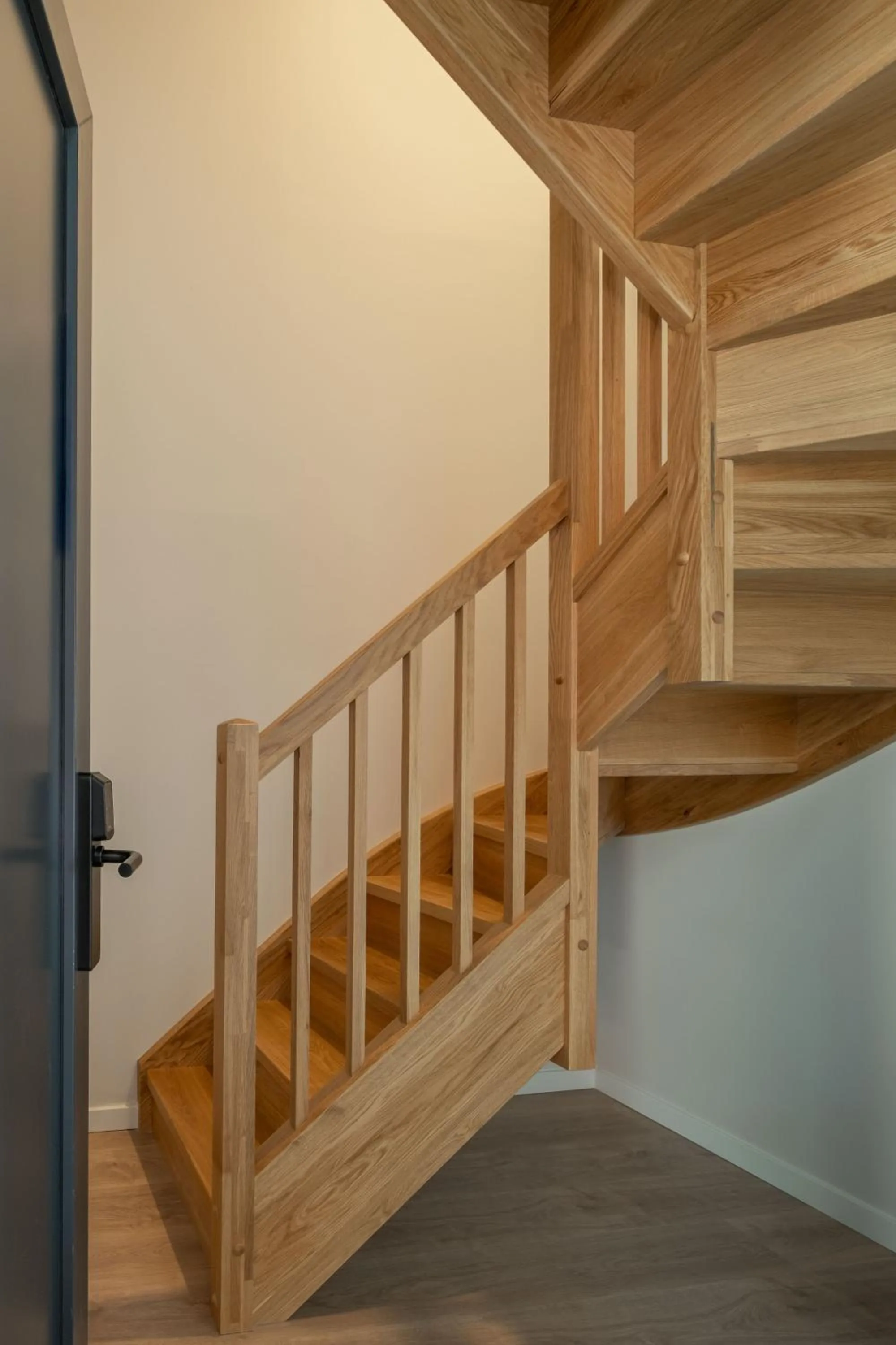 Decorative detail in Líbere Pamplona Universidad