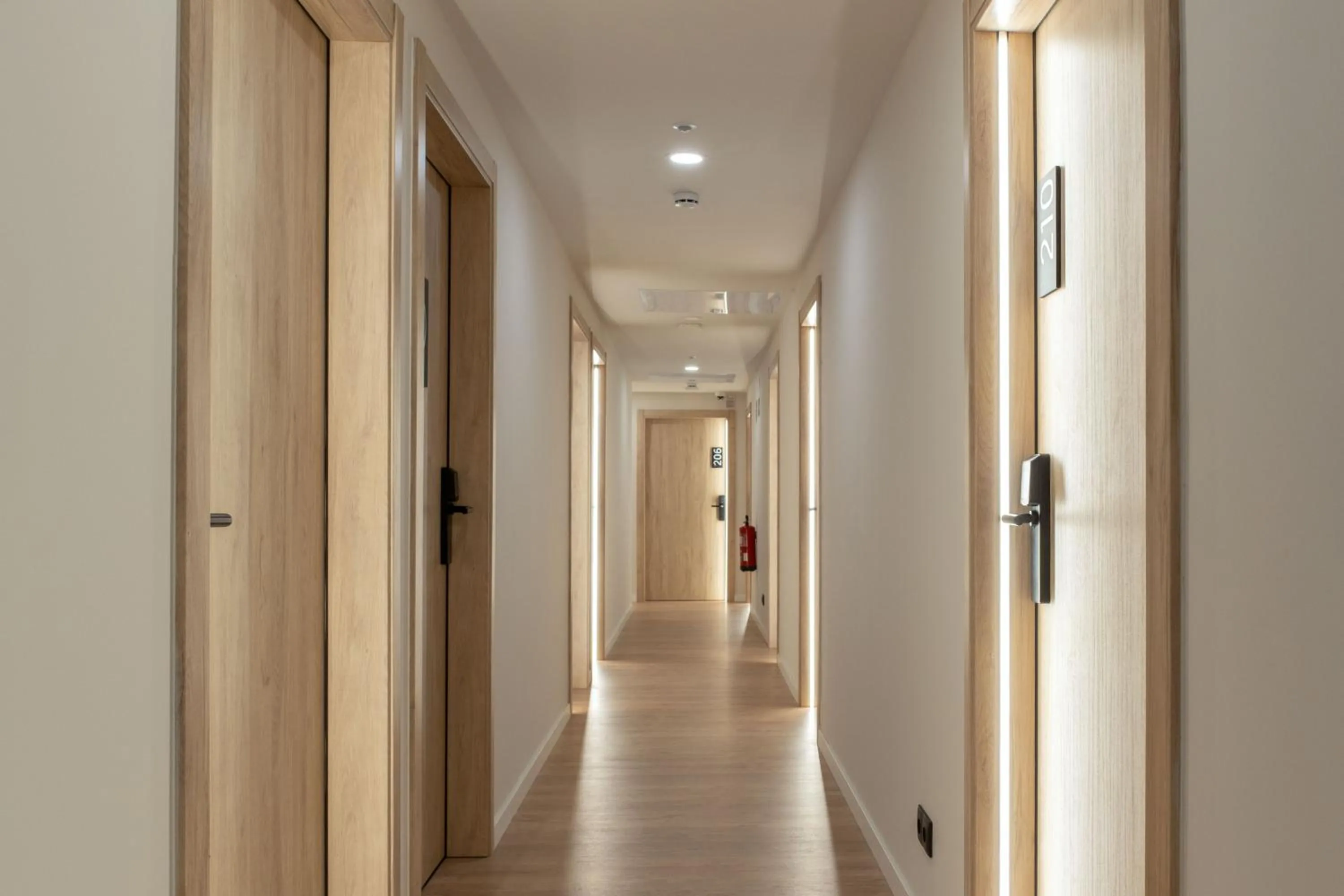 Decorative detail in Líbere Pamplona Universidad