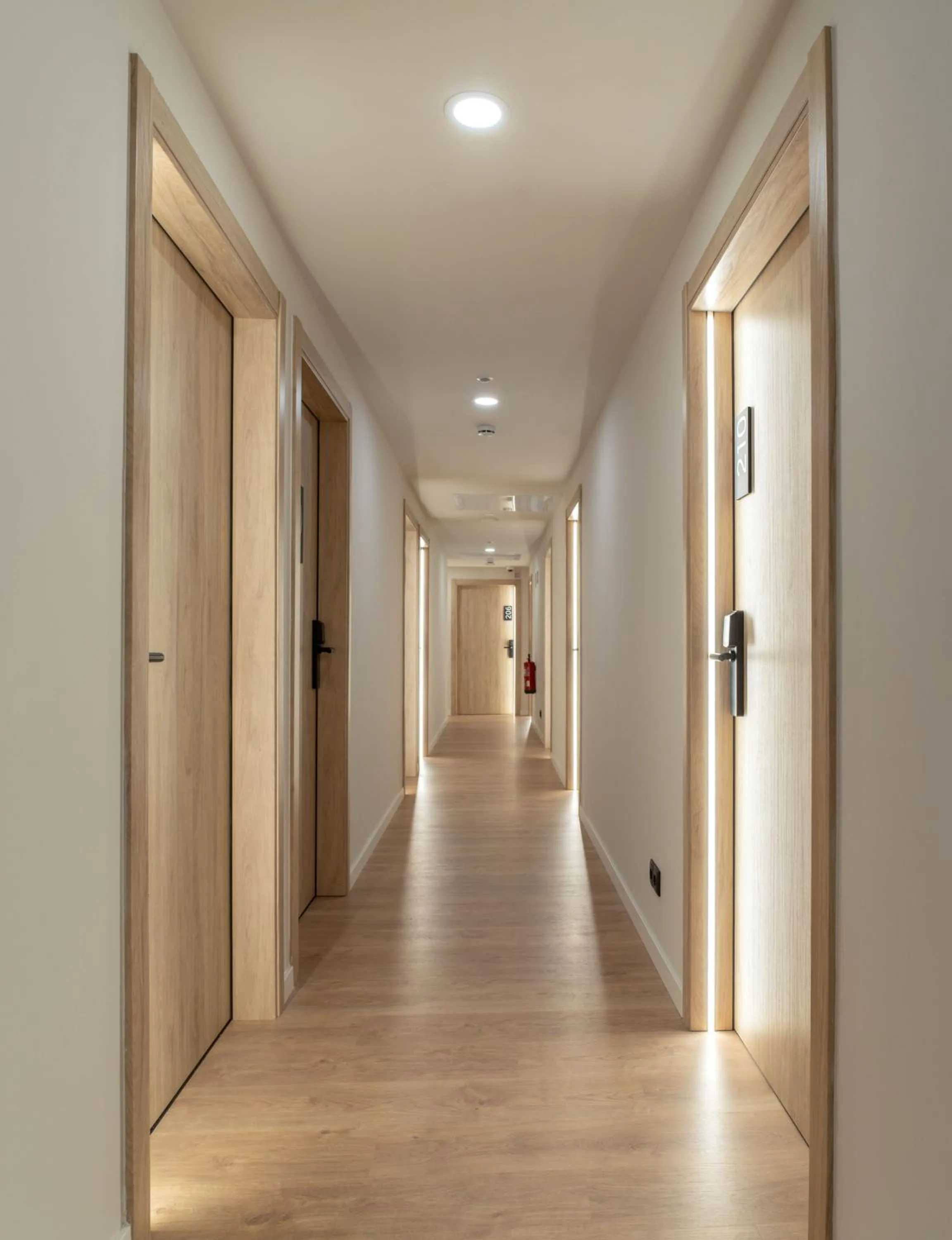 Decorative detail in Líbere Pamplona Universidad