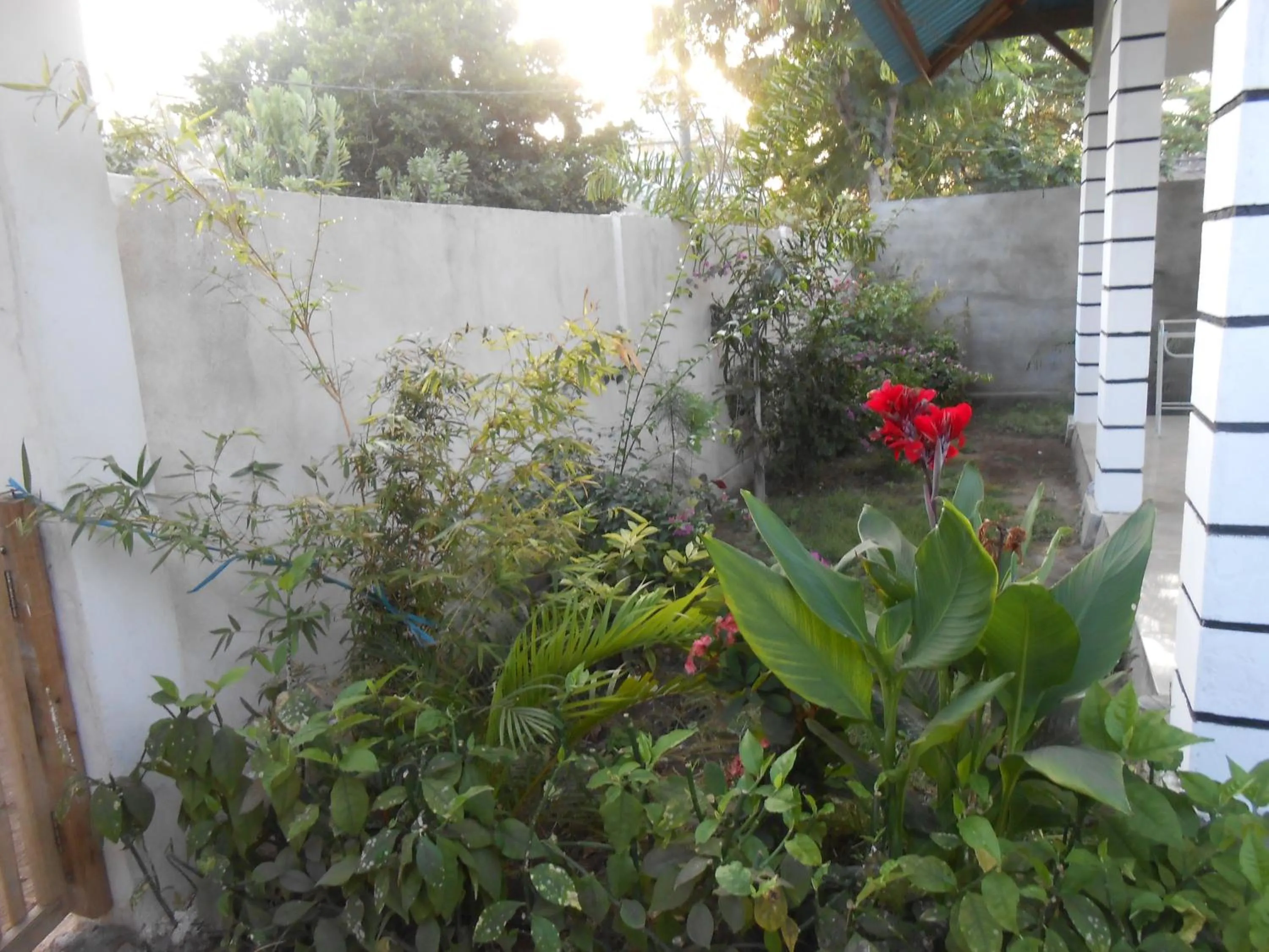 Garden view in Sari Laut