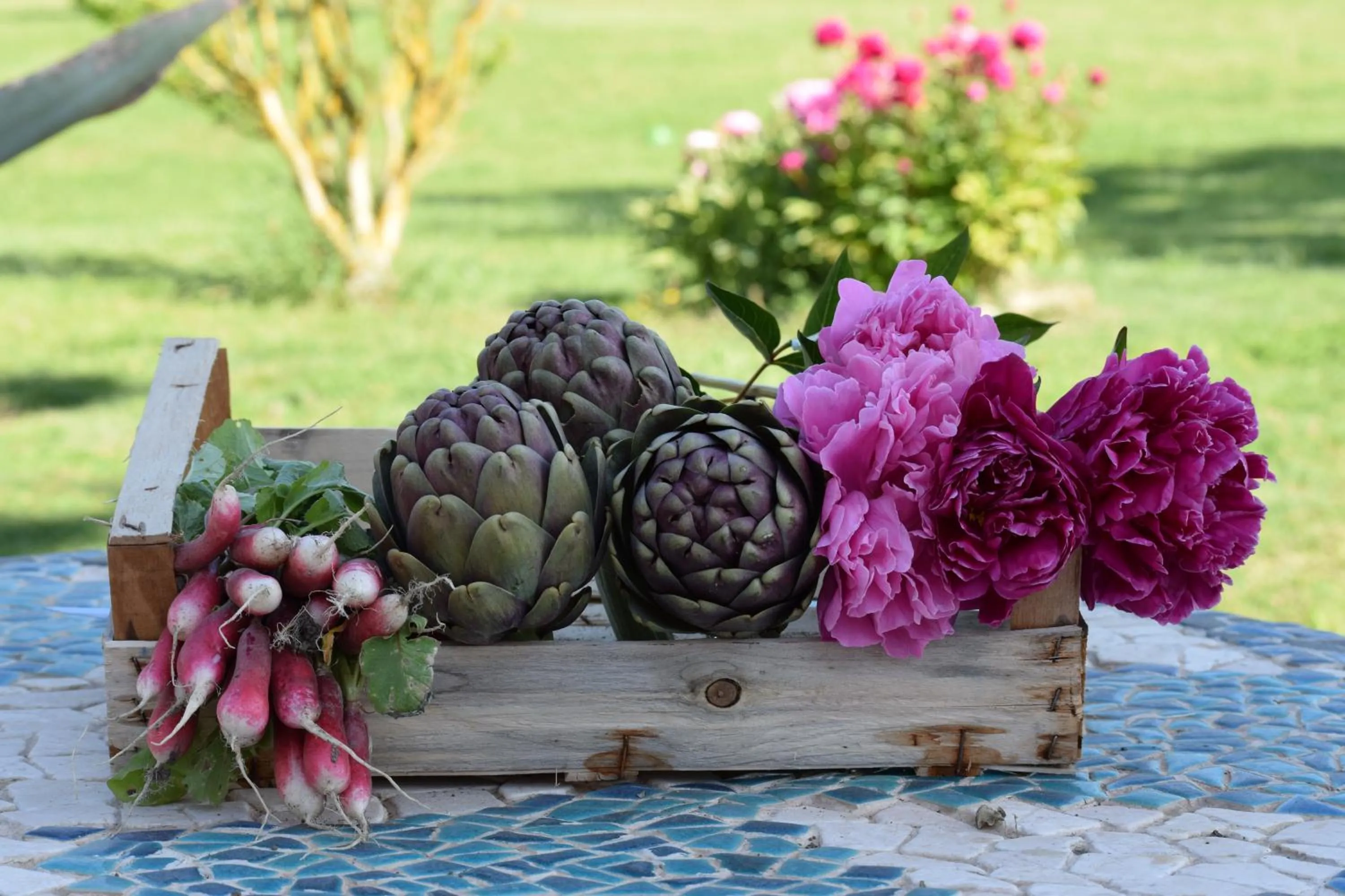 Spring in La Bastide des Amouriers