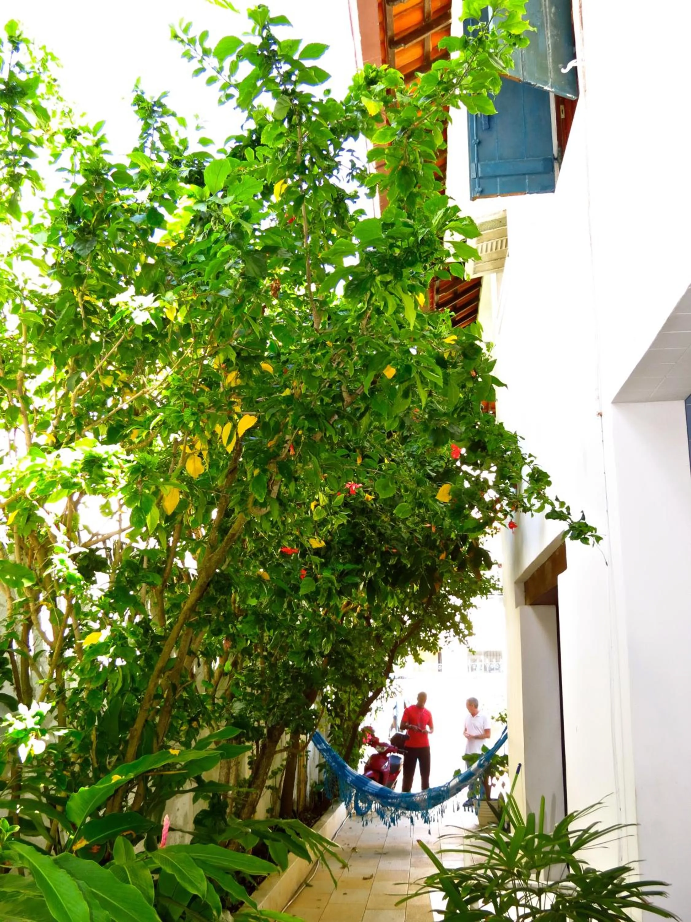 Facade/entrance in Pousada Estrela do Mar