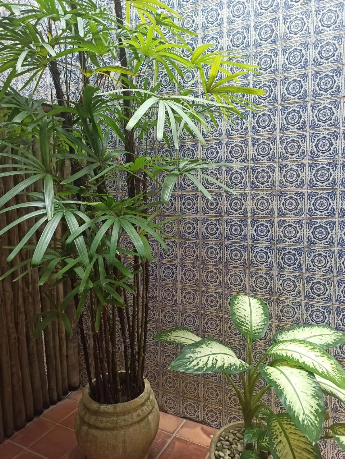 Patio in Pousada Estrela do Mar