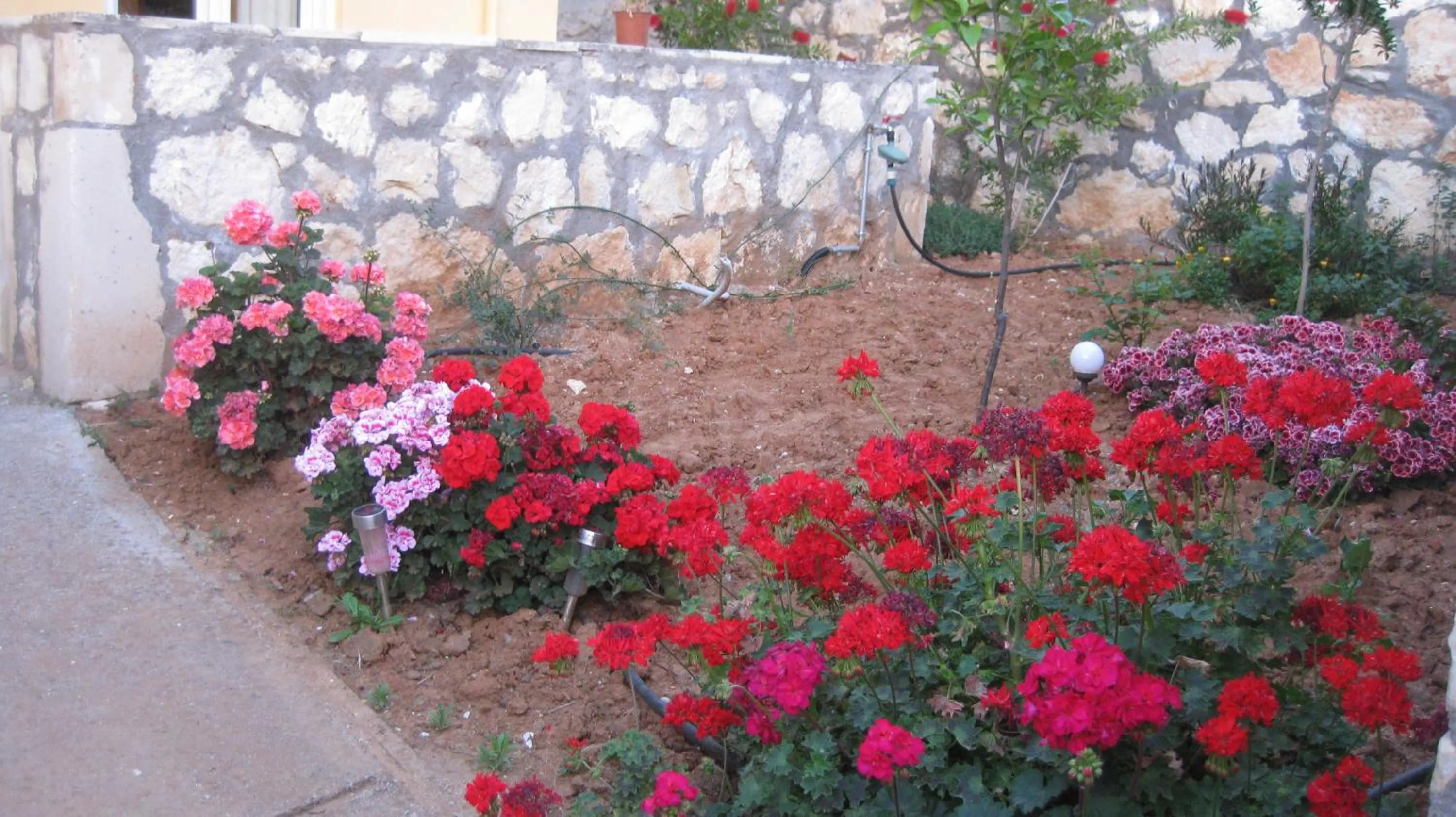 Alexandra Villa