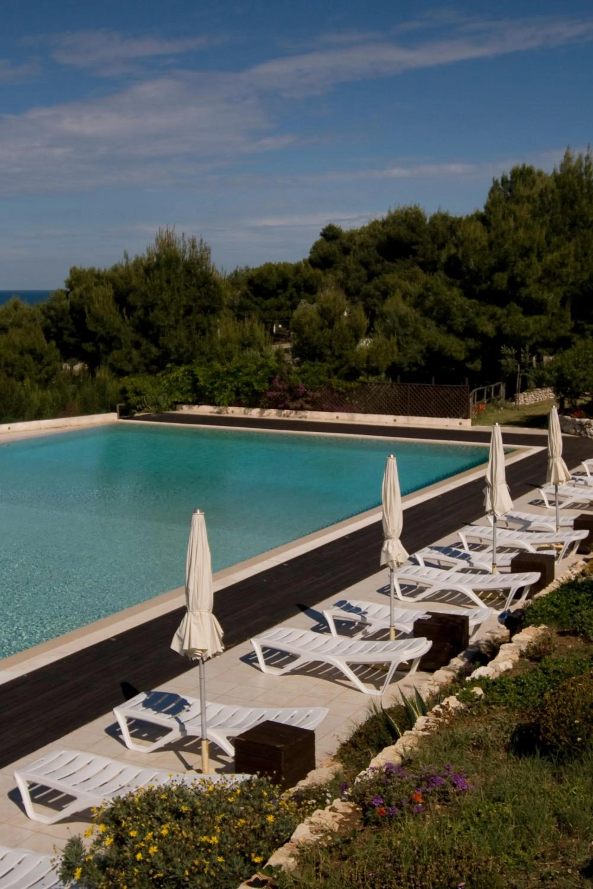 Swimming pool in Residence Gli Stingi