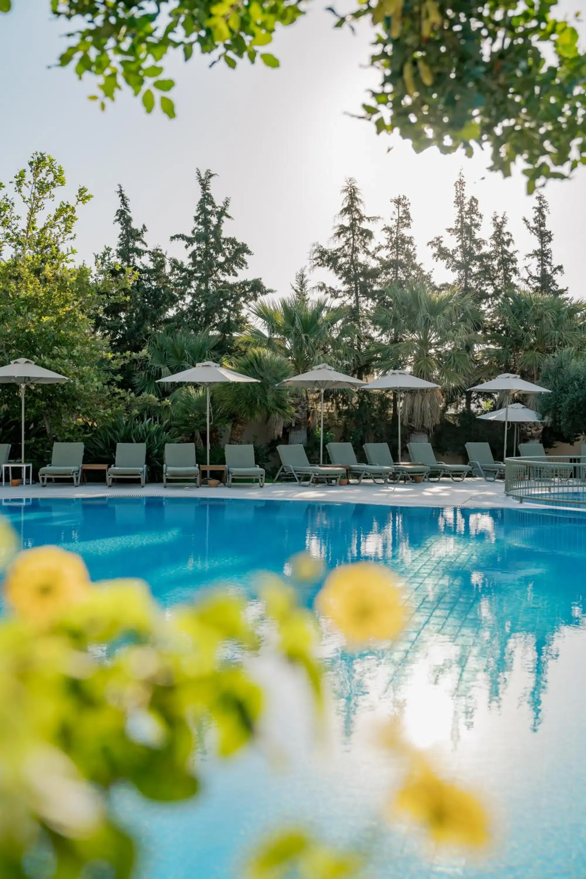 Pool view in Village Heights Resort Pool view in Village Heights Resort